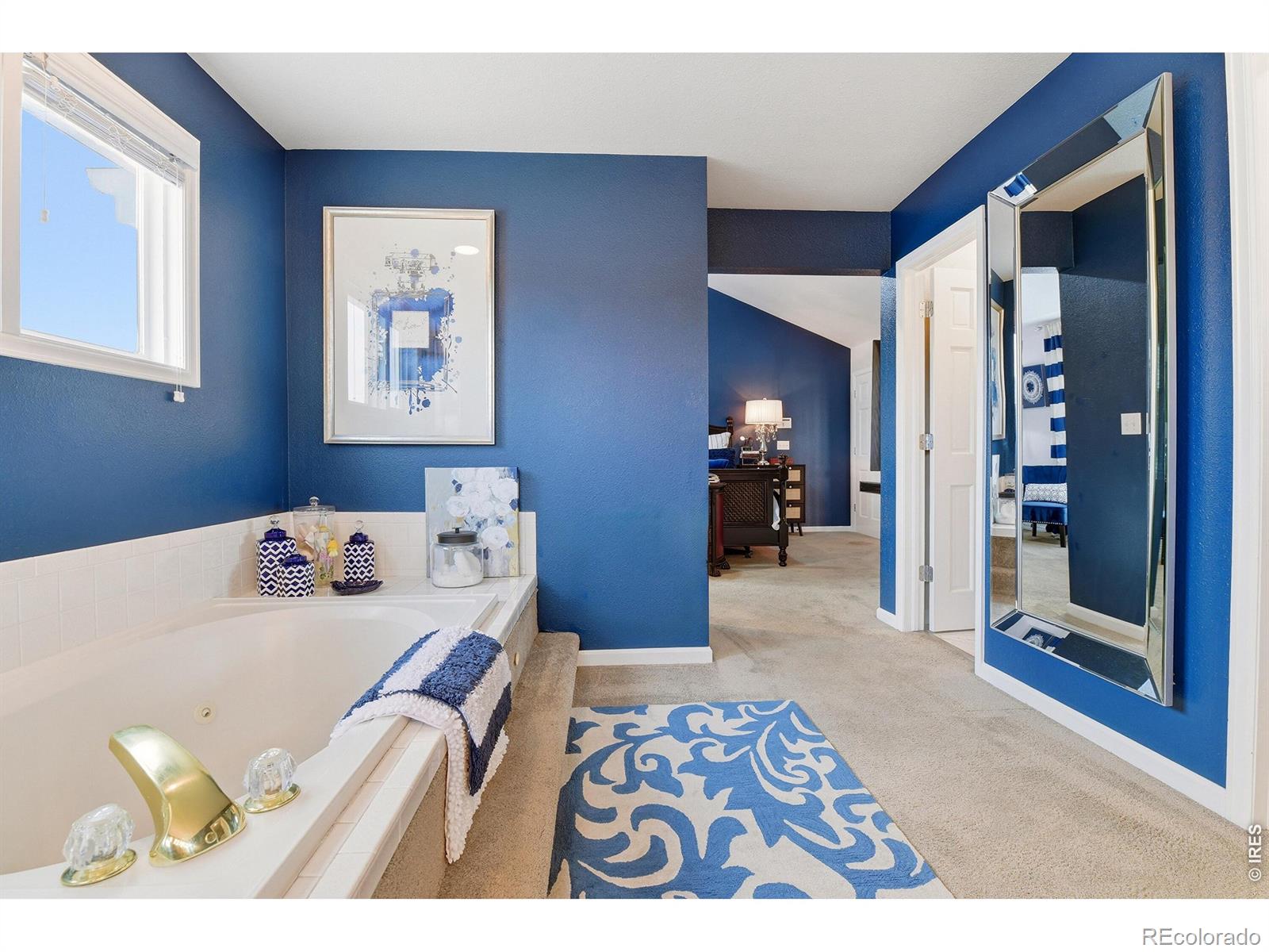 MLS Image #24 for 3004  ravenhill circle,highlands ranch, Colorado