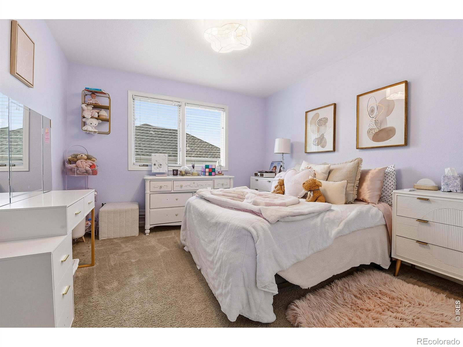 MLS Image #29 for 3004  ravenhill circle,highlands ranch, Colorado