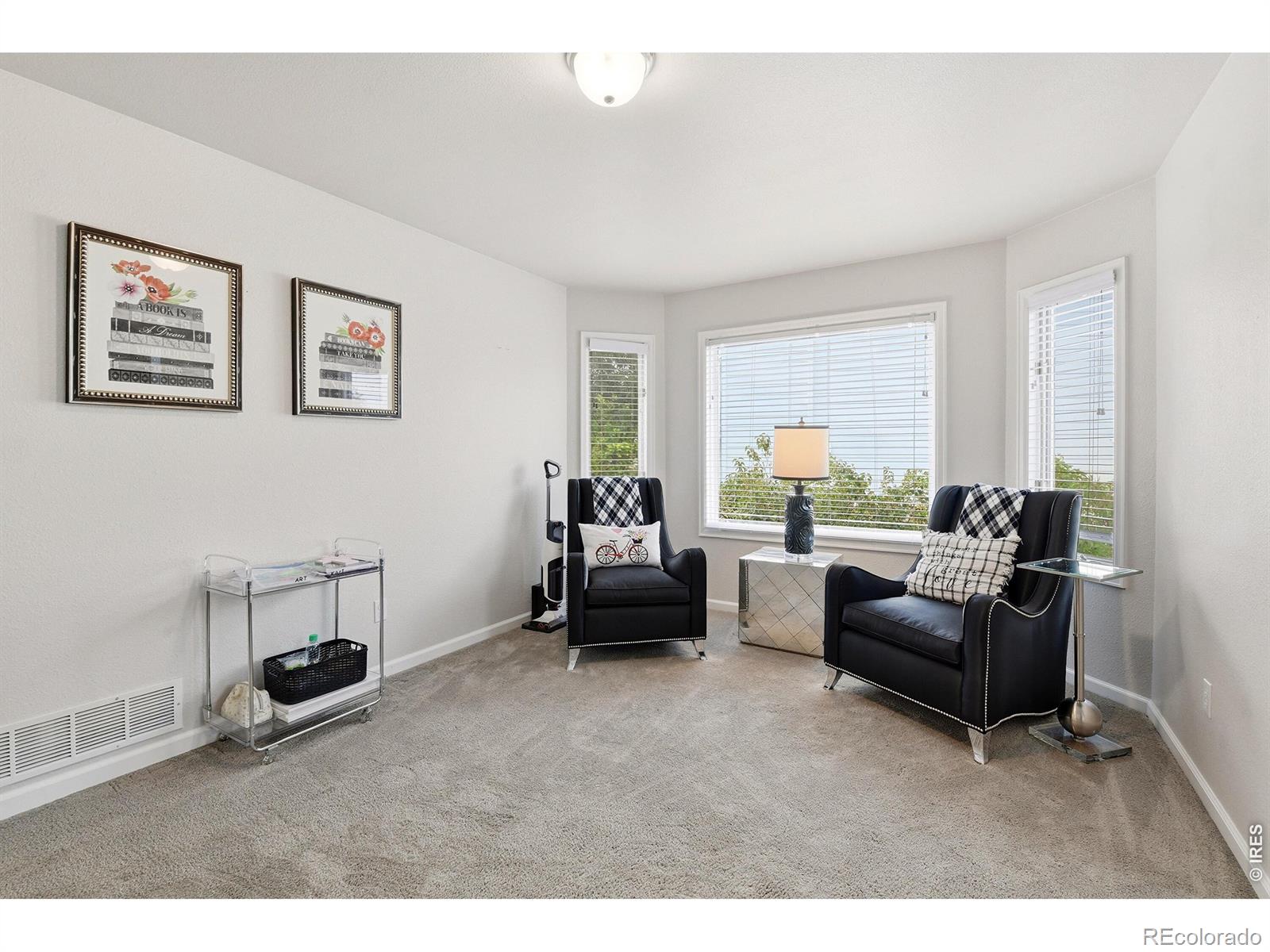 MLS Image #7 for 3004  ravenhill circle,highlands ranch, Colorado