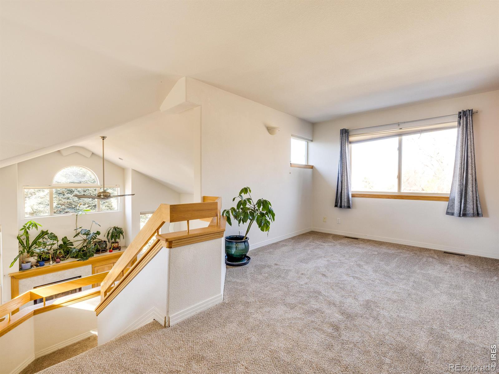 MLS Image #13 for 927  hover ridge circle,longmont, Colorado
