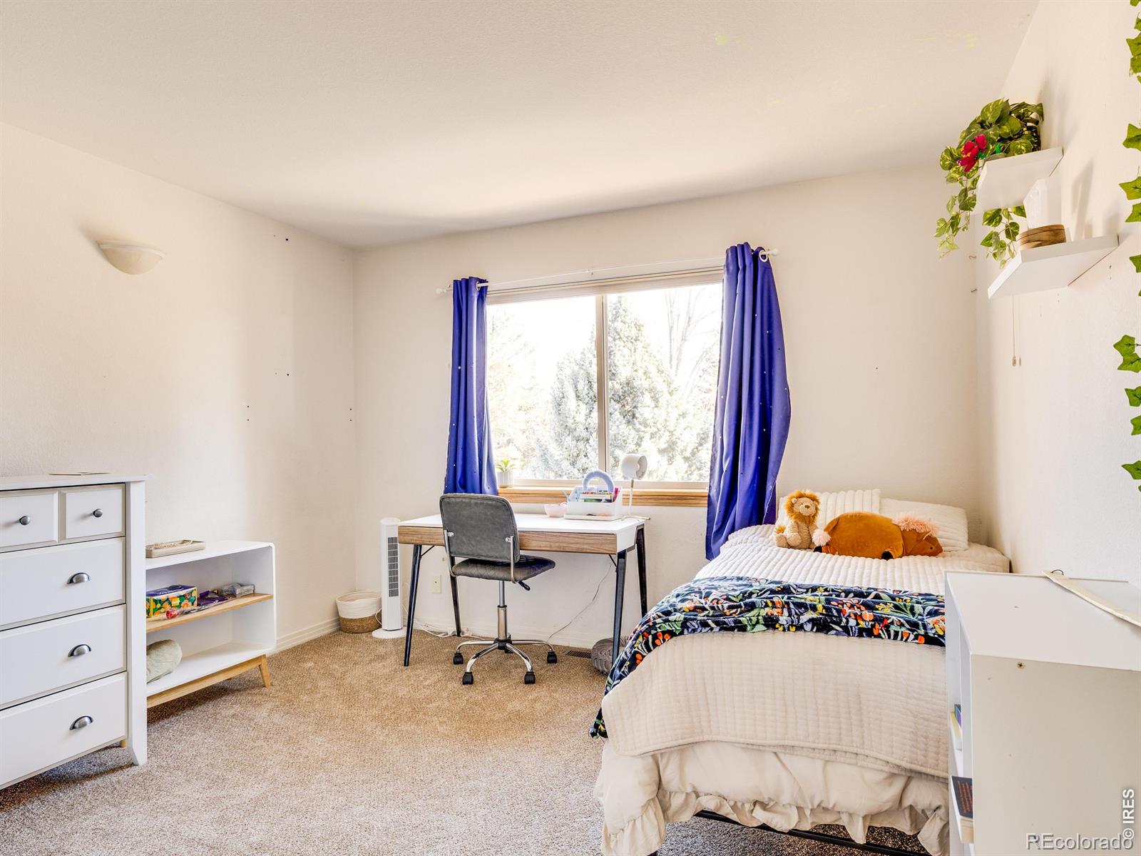 MLS Image #14 for 927  hover ridge circle,longmont, Colorado