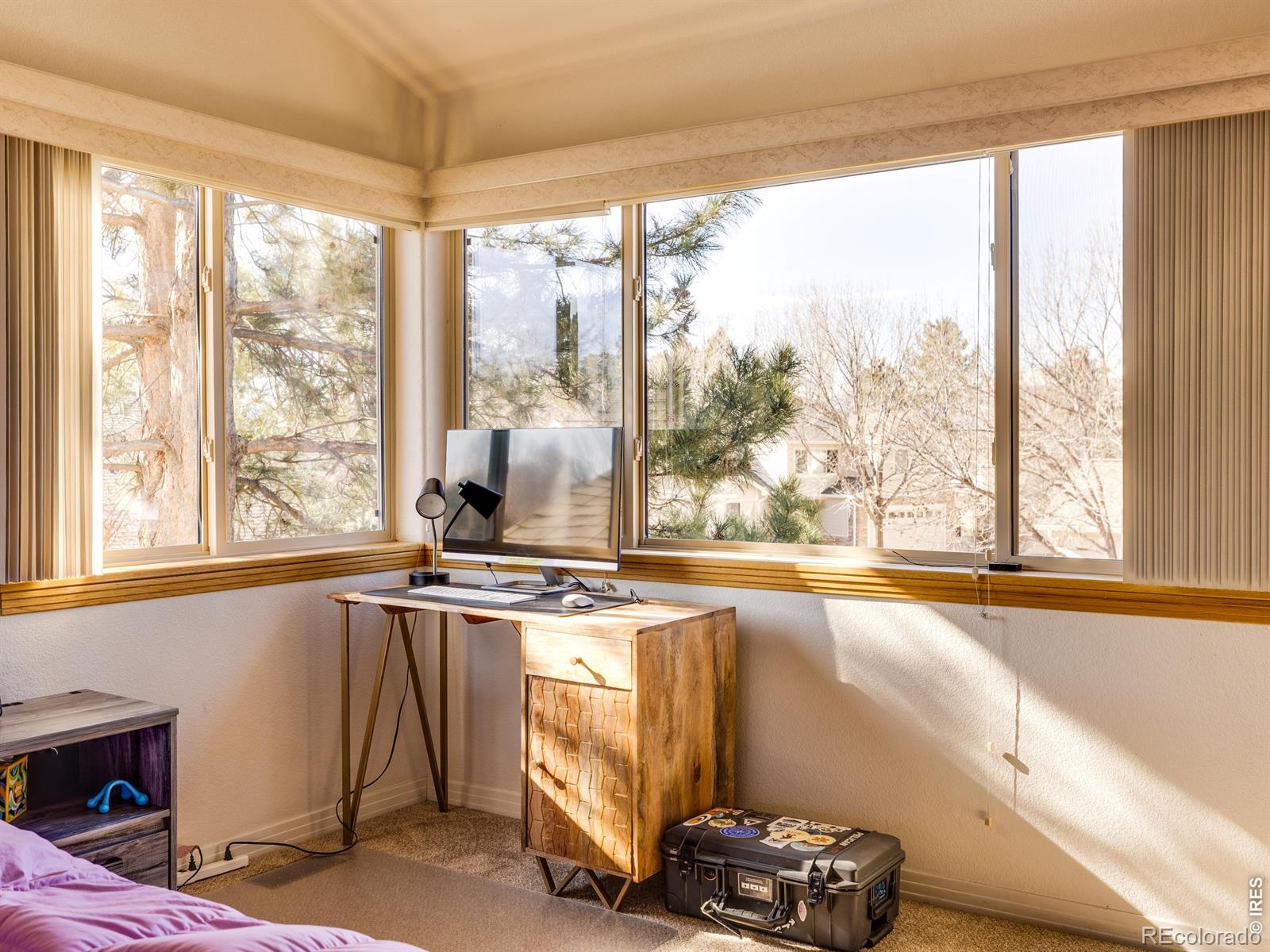 MLS Image #20 for 927  hover ridge circle,longmont, Colorado