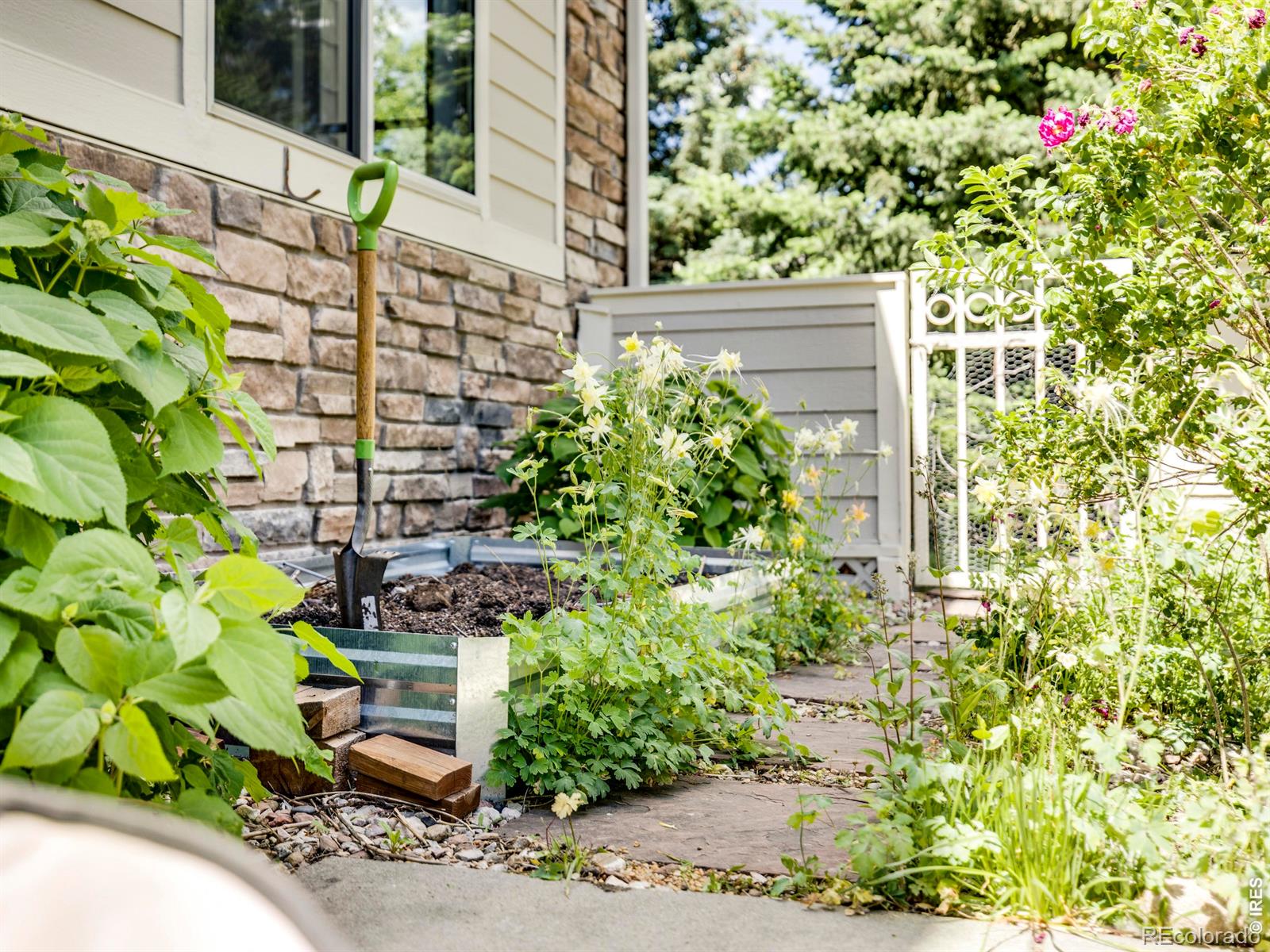 MLS Image #35 for 927  hover ridge circle,longmont, Colorado