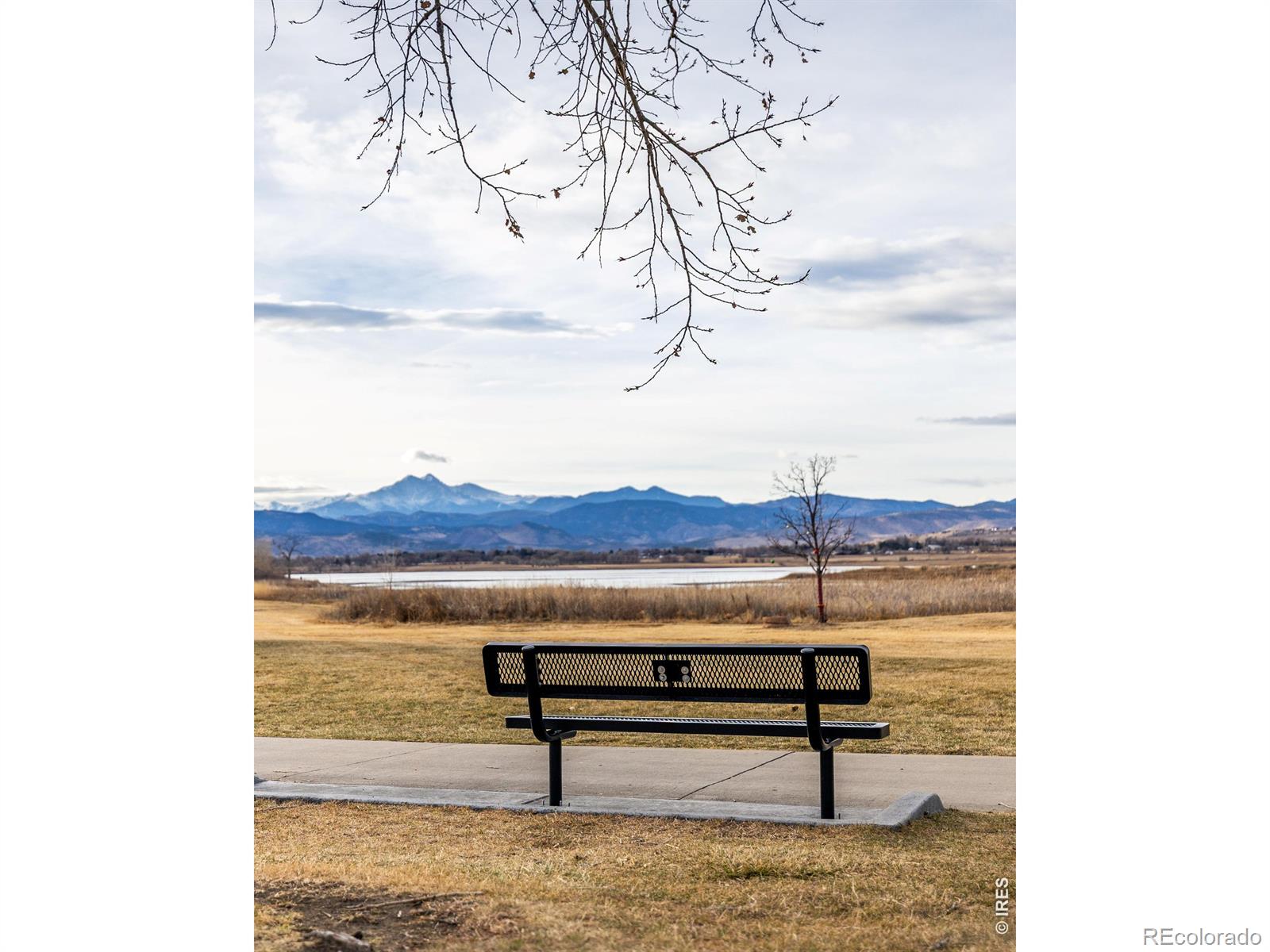 MLS Image #37 for 927  hover ridge circle,longmont, Colorado