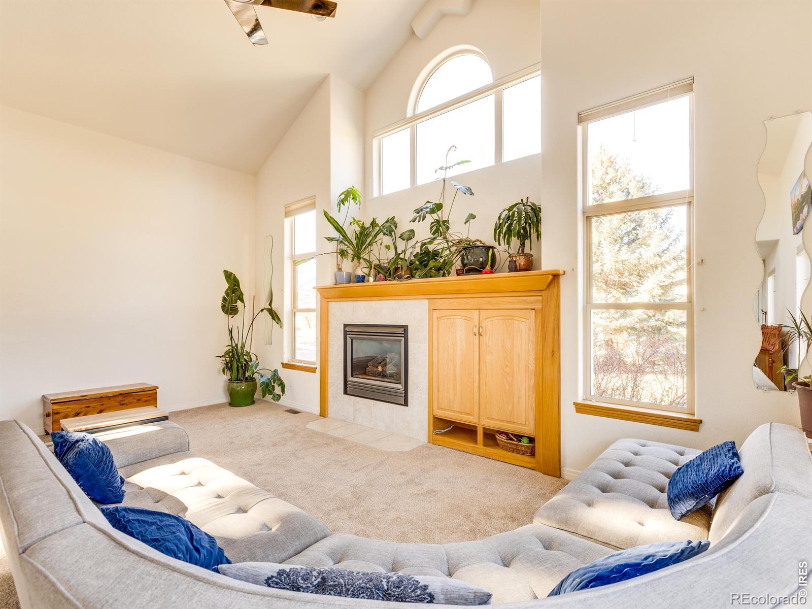 MLS Image #6 for 927  hover ridge circle,longmont, Colorado