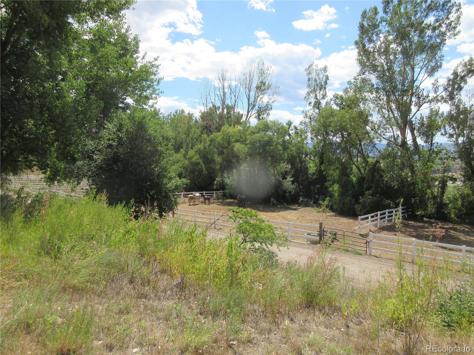 MLS Image #5 for 2910 w long circle,littleton, Colorado