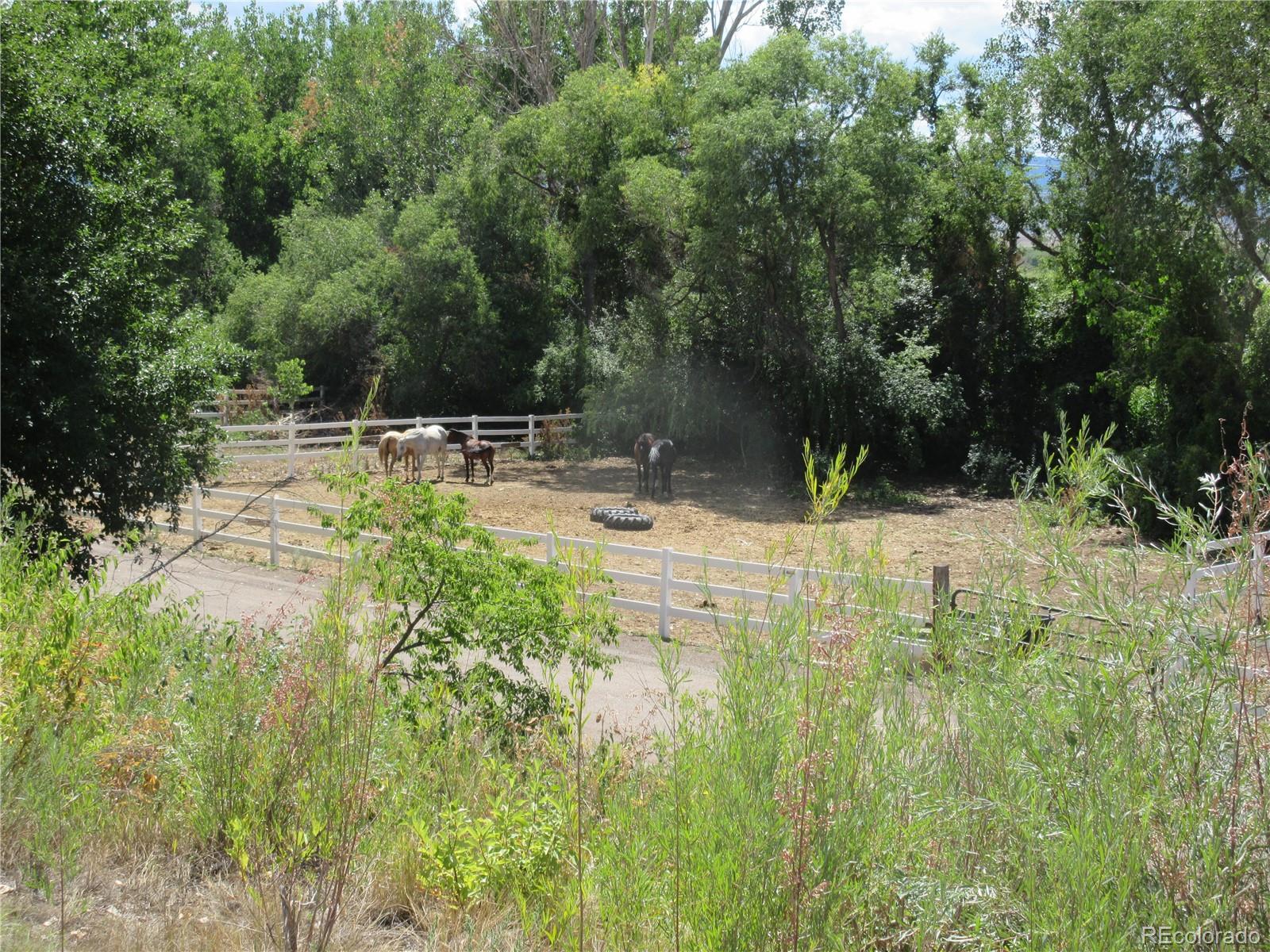 MLS Image #6 for 2910 w long circle,littleton, Colorado