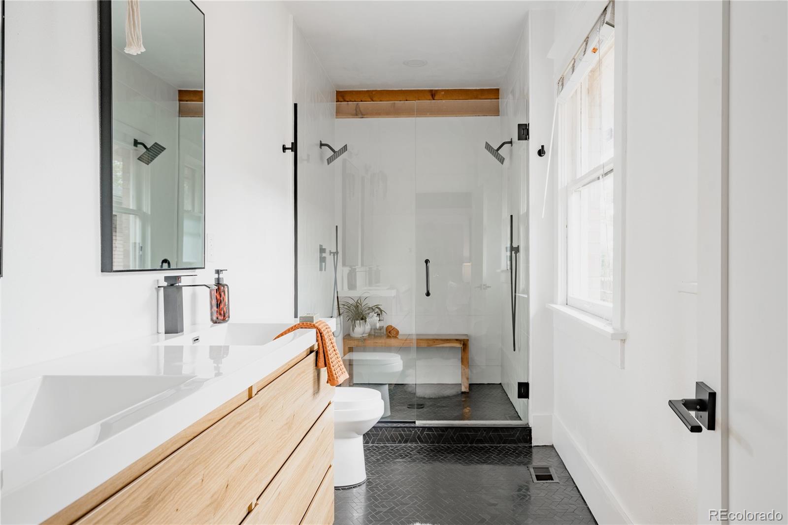 MLS Image #18 for 4123  zuni street,denver, Colorado