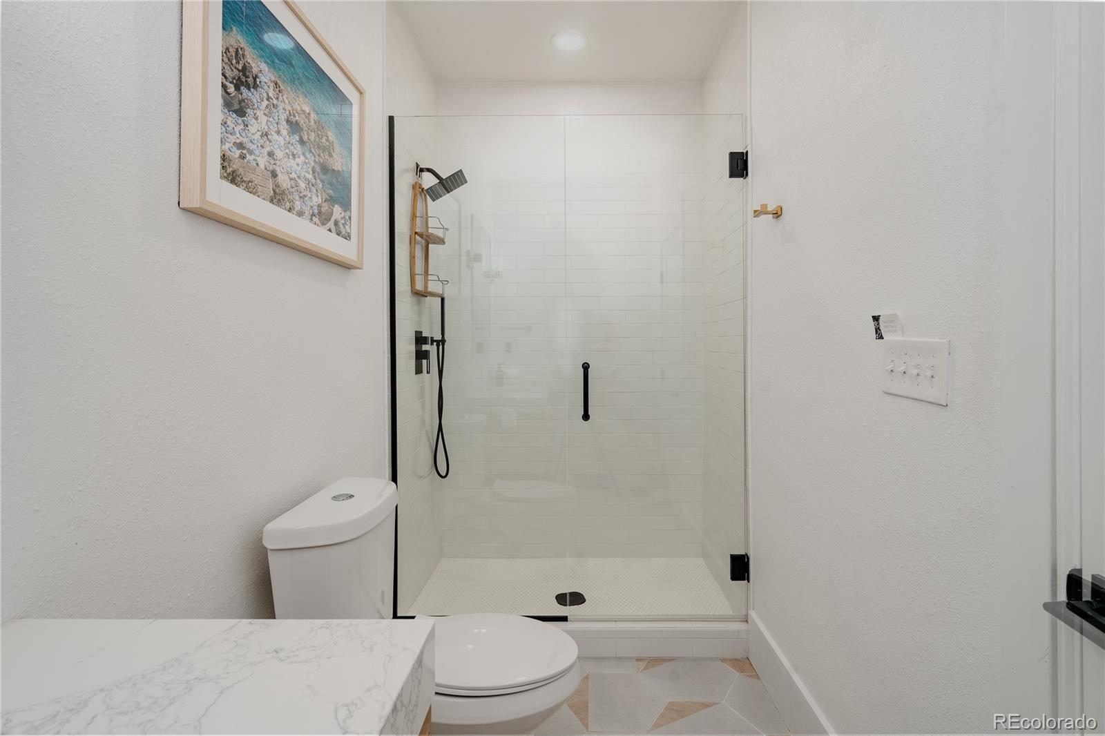 MLS Image #20 for 4123  zuni street,denver, Colorado