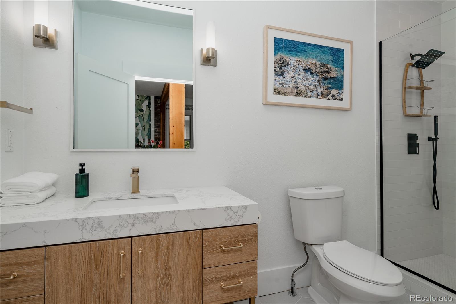 MLS Image #21 for 4123  zuni street,denver, Colorado