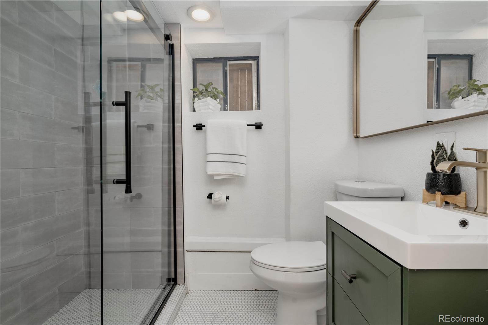 MLS Image #35 for 4123  zuni street,denver, Colorado