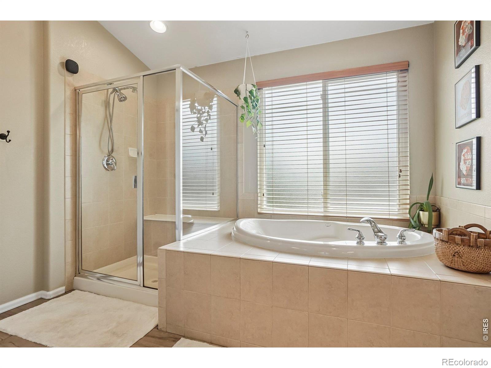 MLS Image #30 for 1614  hallet peak drive,longmont, Colorado