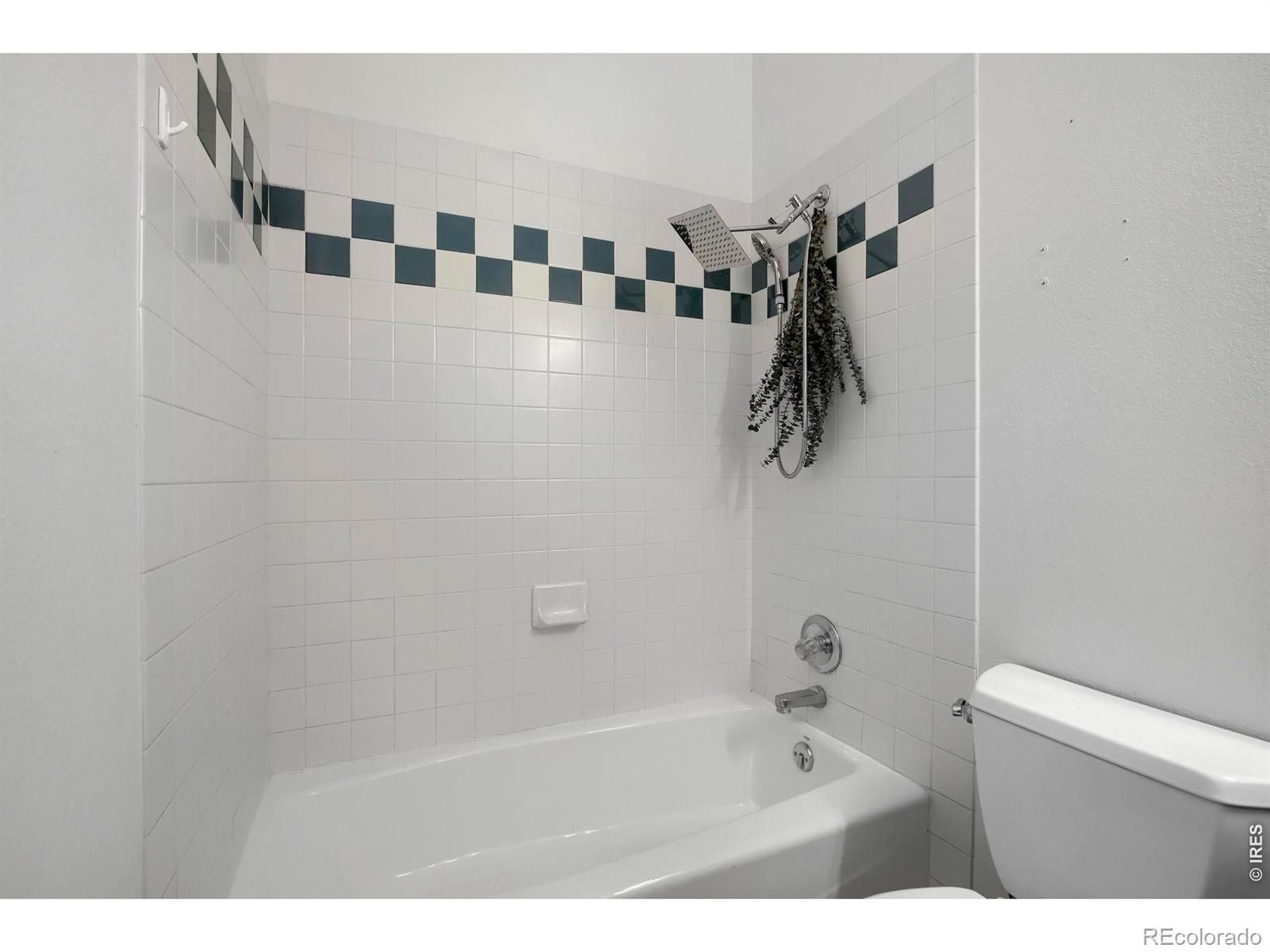 MLS Image #19 for 463  grant avenue,firestone, Colorado
