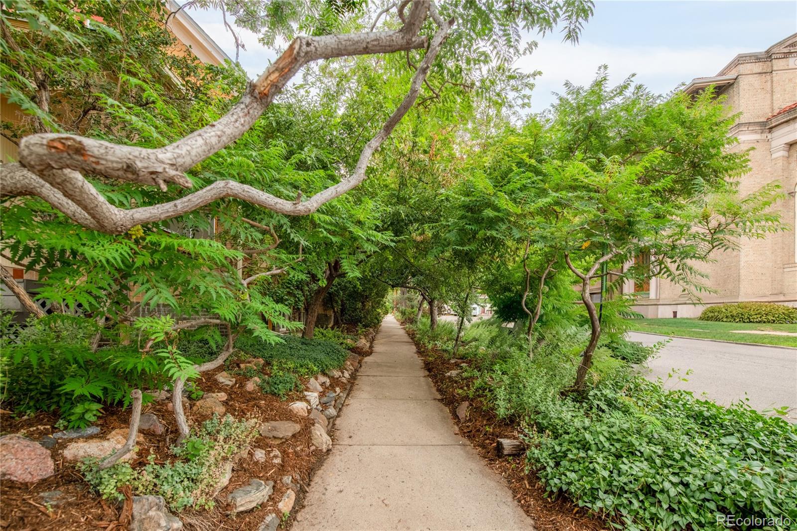 MLS Image #41 for 3025  grove street,denver, Colorado