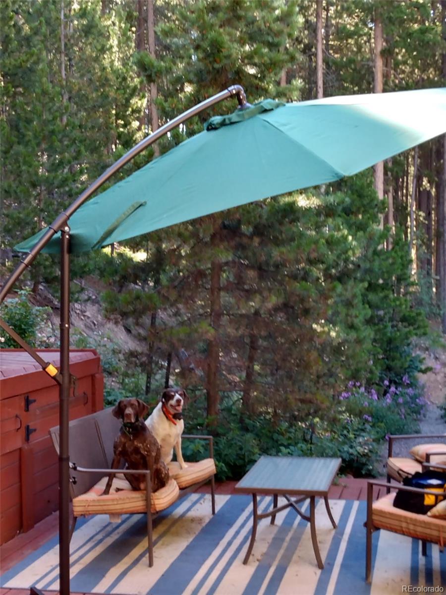 MLS Image #10 for 9198  black mountain drive,conifer, Colorado