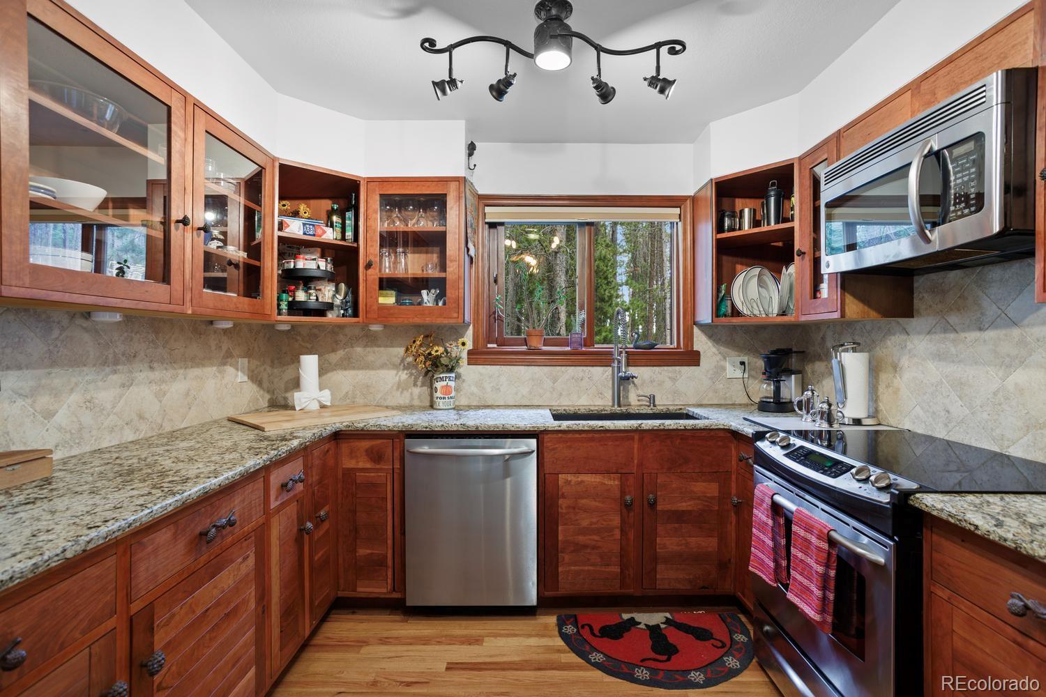 MLS Image #13 for 9198  black mountain drive,conifer, Colorado