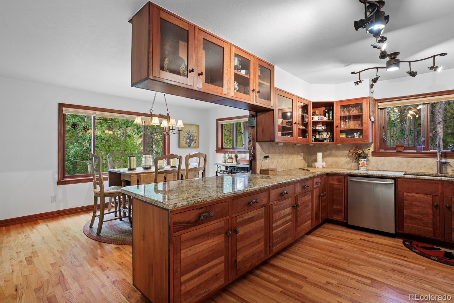 MLS Image #14 for 9198  black mountain drive,conifer, Colorado