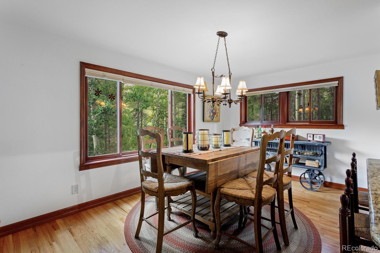 MLS Image #15 for 9198  black mountain drive,conifer, Colorado