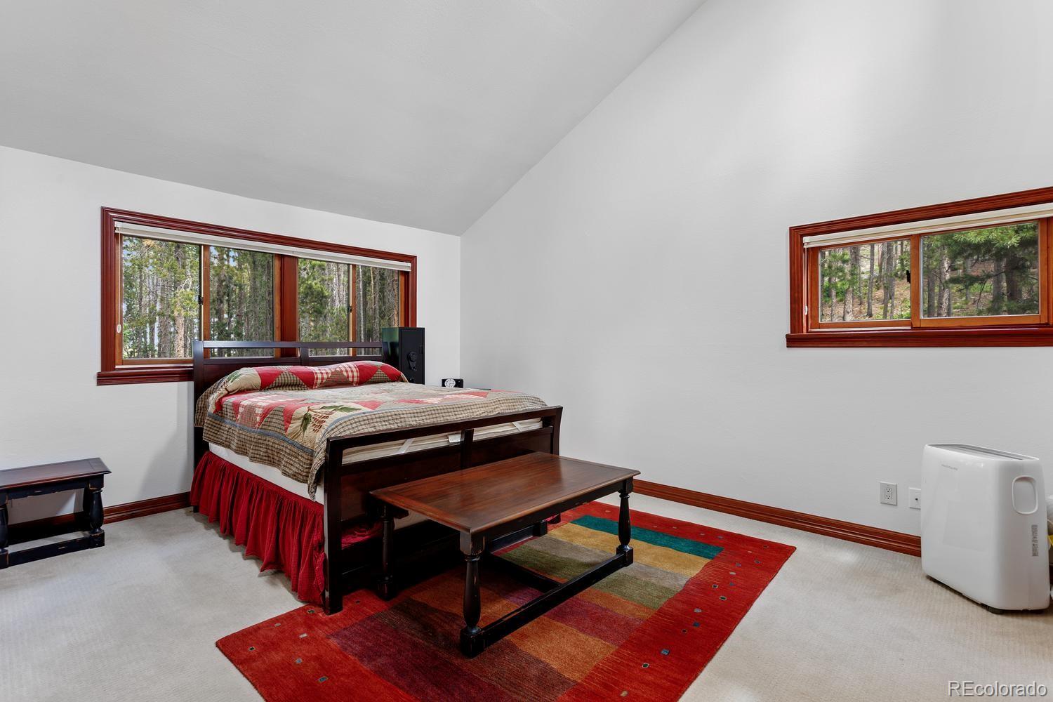 MLS Image #22 for 9198  black mountain drive,conifer, Colorado