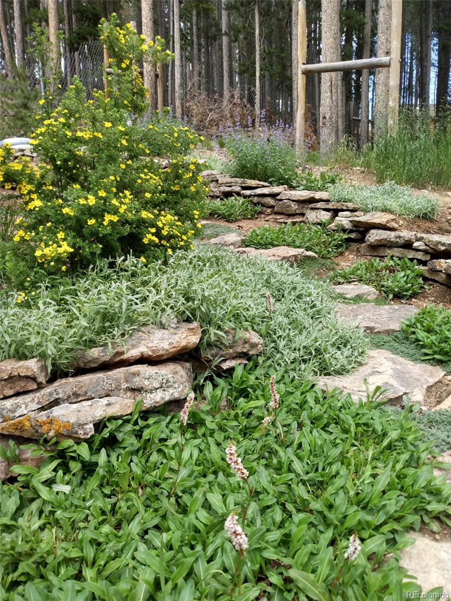 MLS Image #37 for 9198  black mountain drive,conifer, Colorado