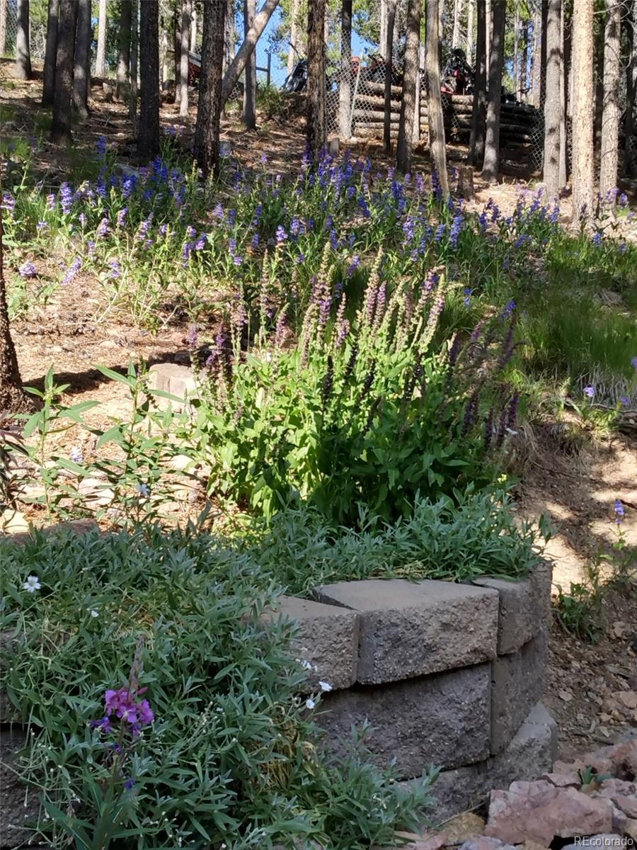 MLS Image #38 for 9198  black mountain drive,conifer, Colorado