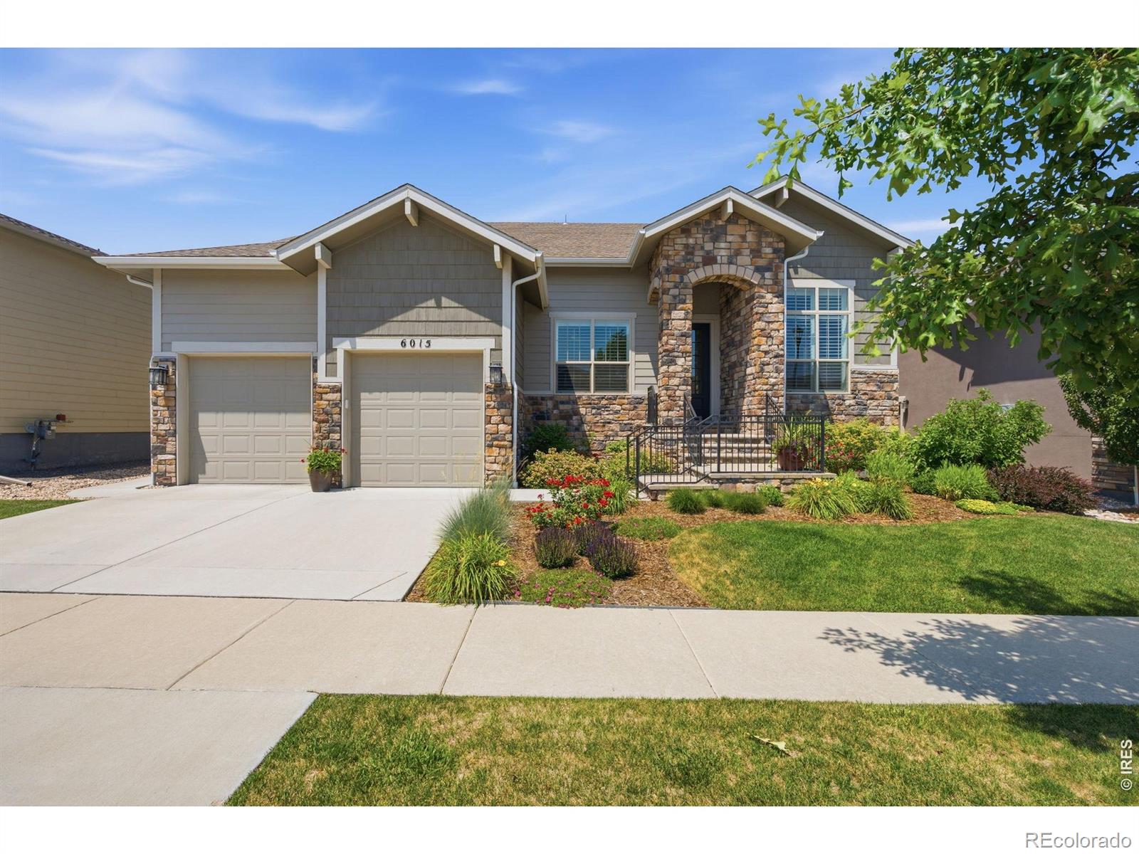 MLS Image #2 for 6015  spindlebush lane,fort collins, Colorado