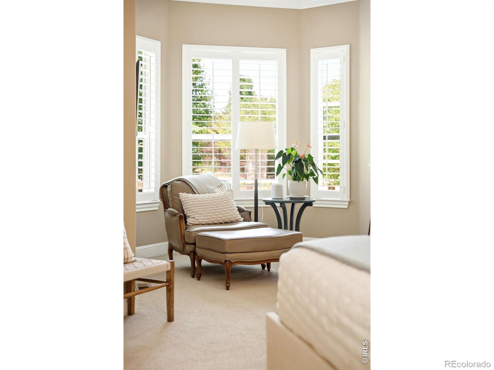 MLS Image #24 for 6015  spindlebush lane,fort collins, Colorado