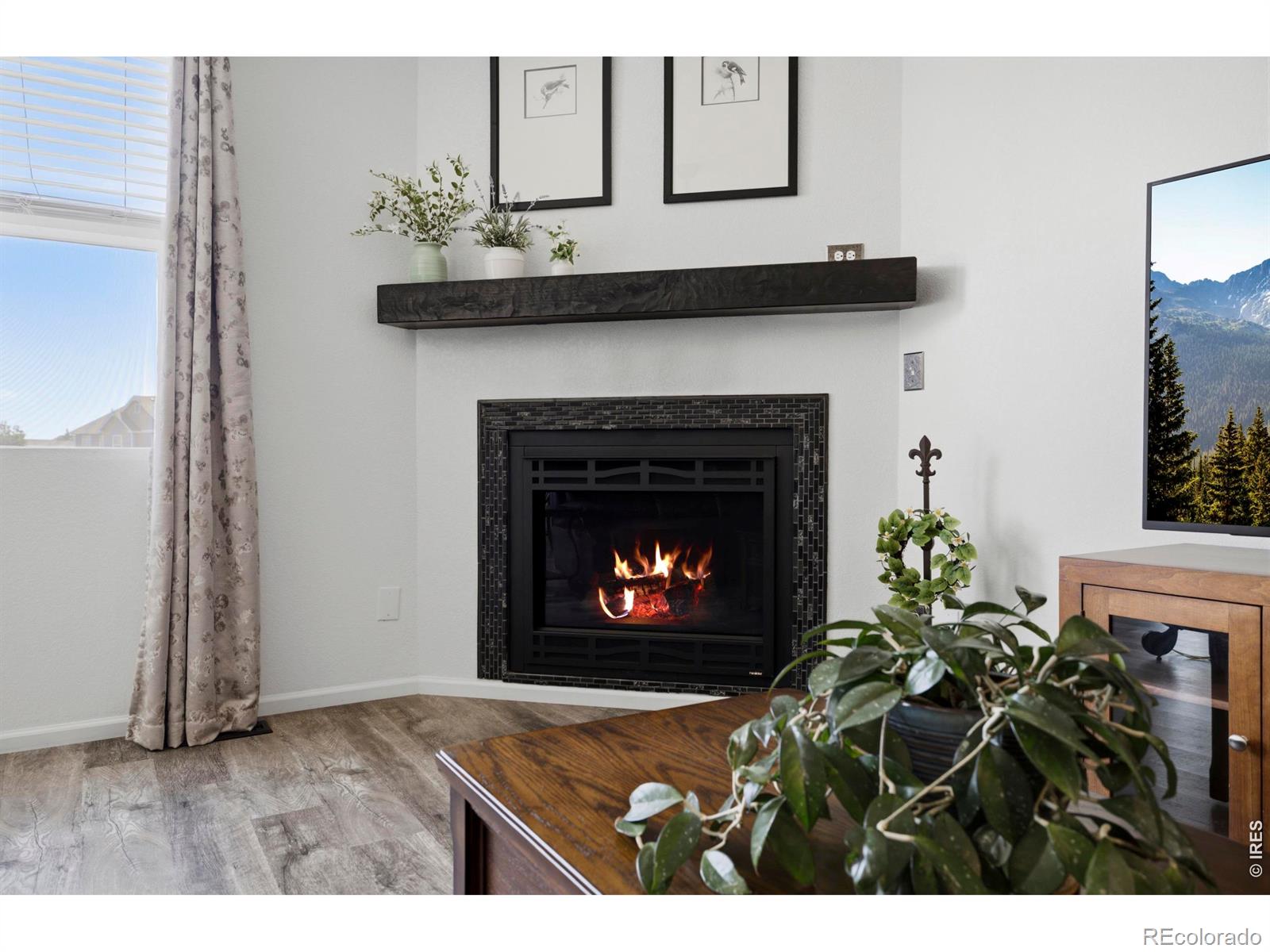 MLS Image #12 for 735  camberly drive,windsor, Colorado