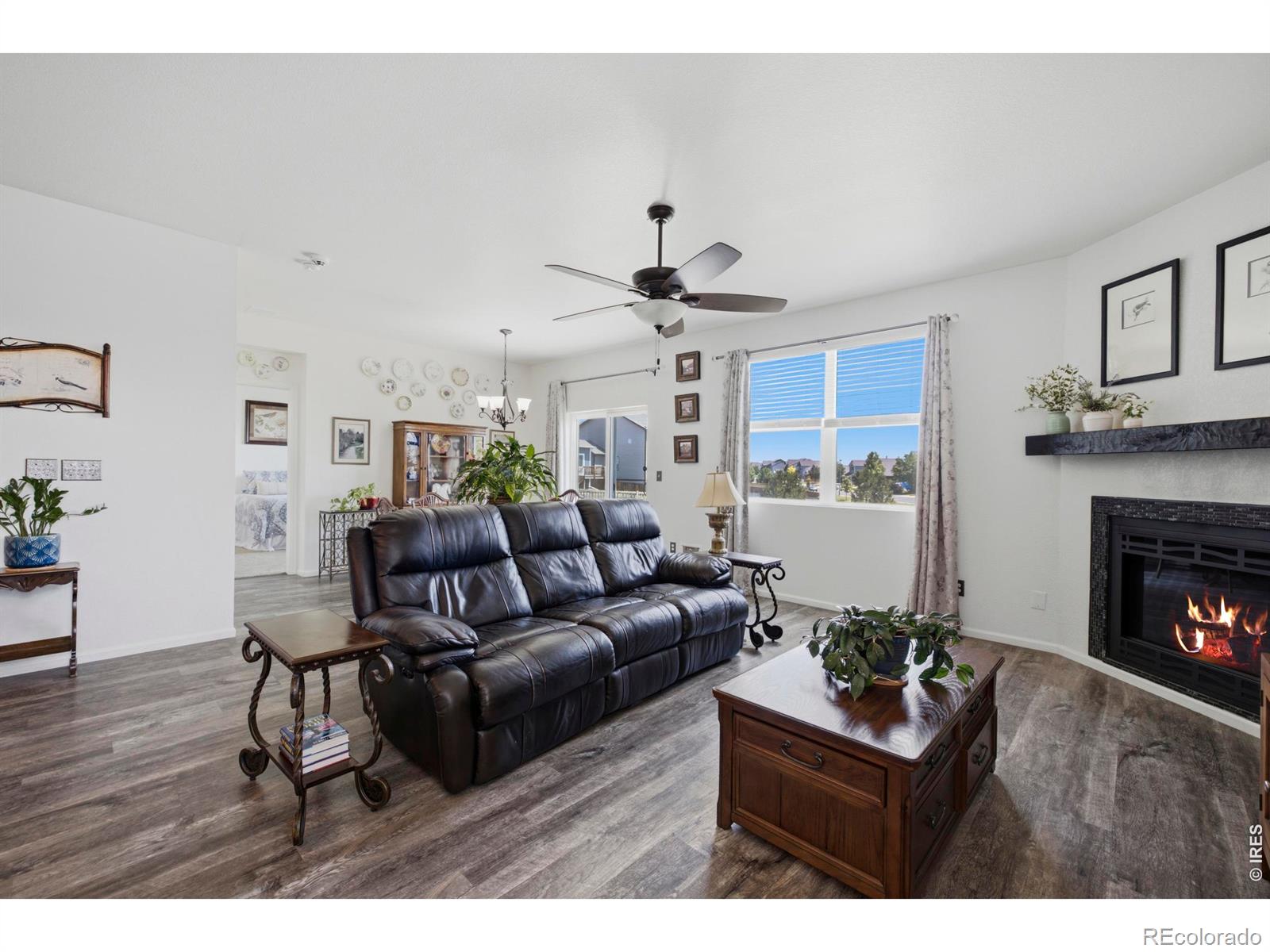 MLS Image #13 for 735  camberly drive,windsor, Colorado