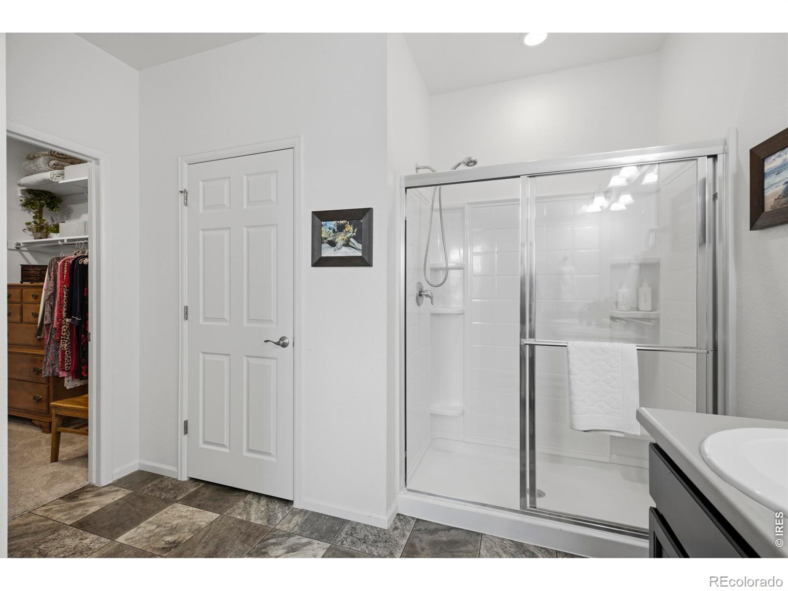MLS Image #18 for 735  camberly drive,windsor, Colorado