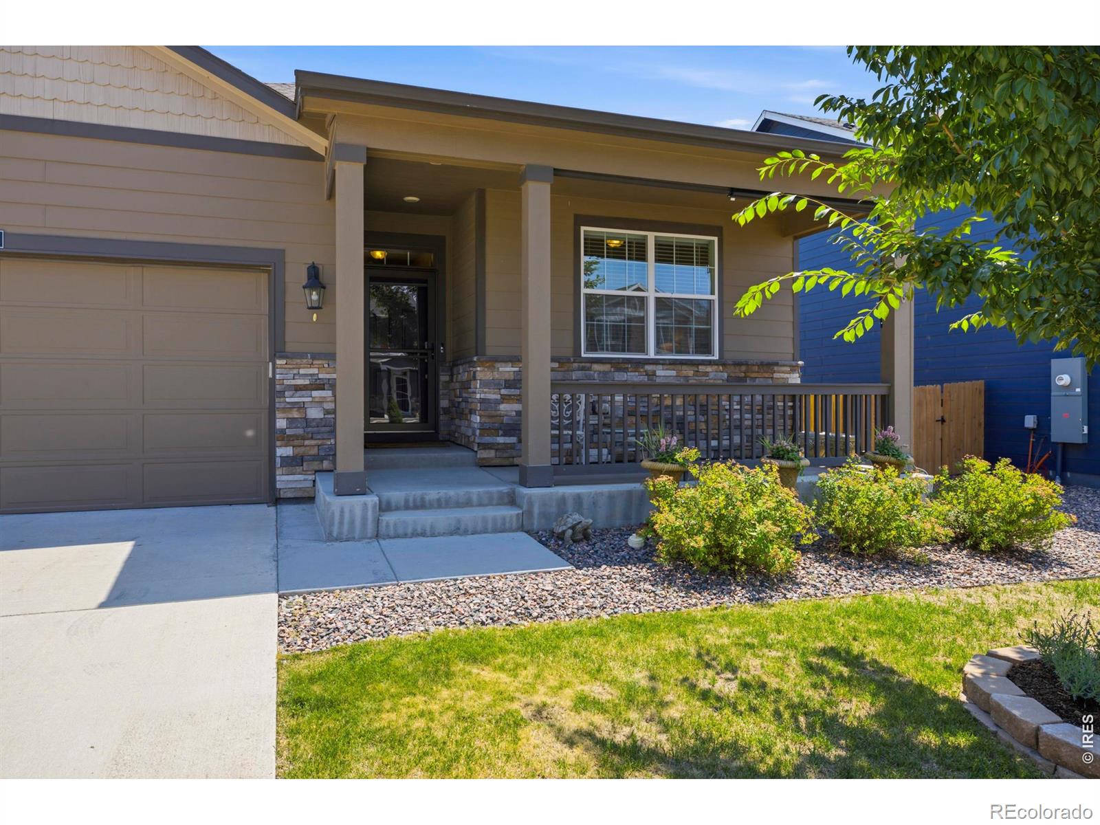 MLS Image #2 for 735  camberly drive,windsor, Colorado