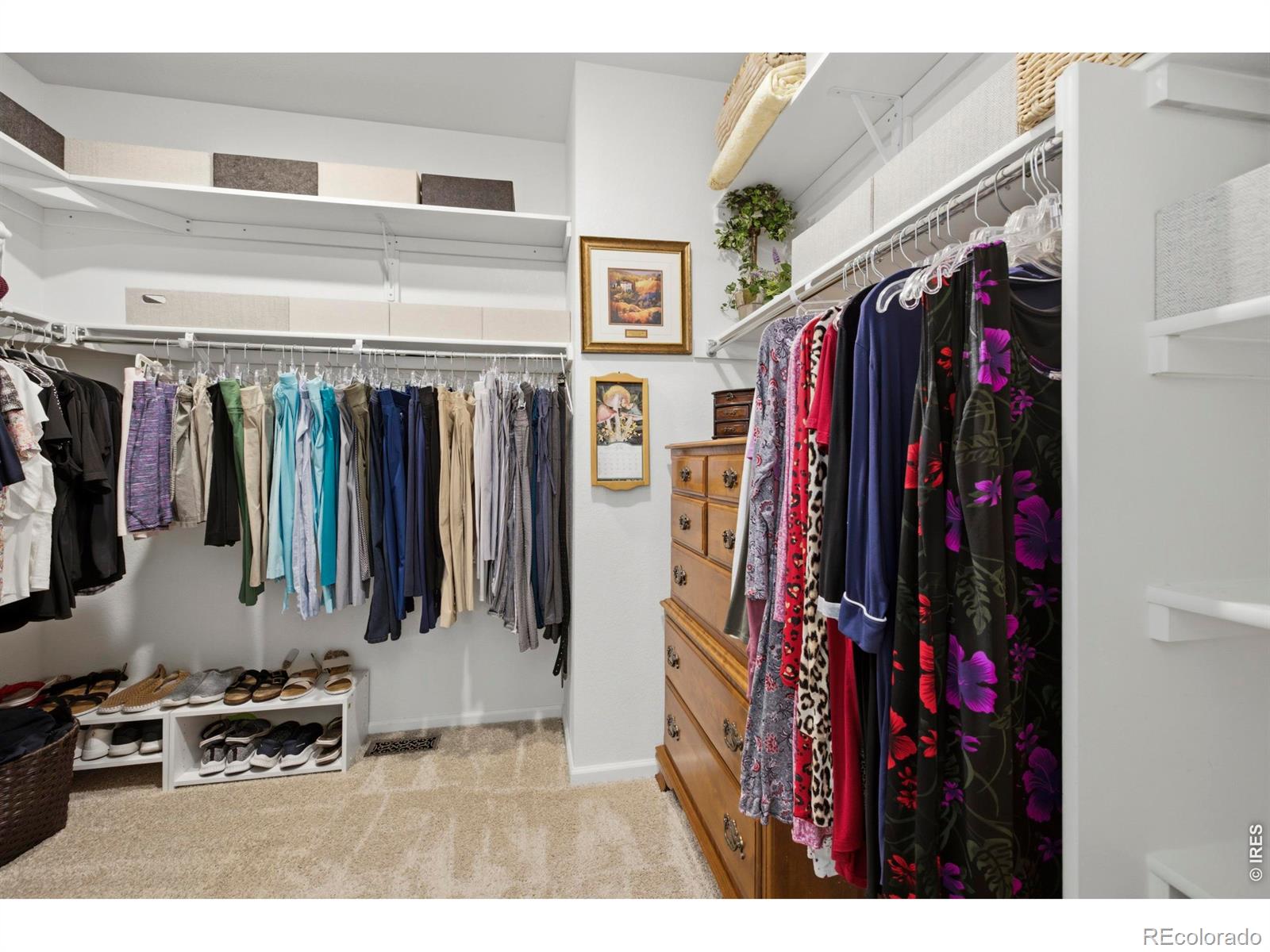 MLS Image #20 for 735  camberly drive,windsor, Colorado
