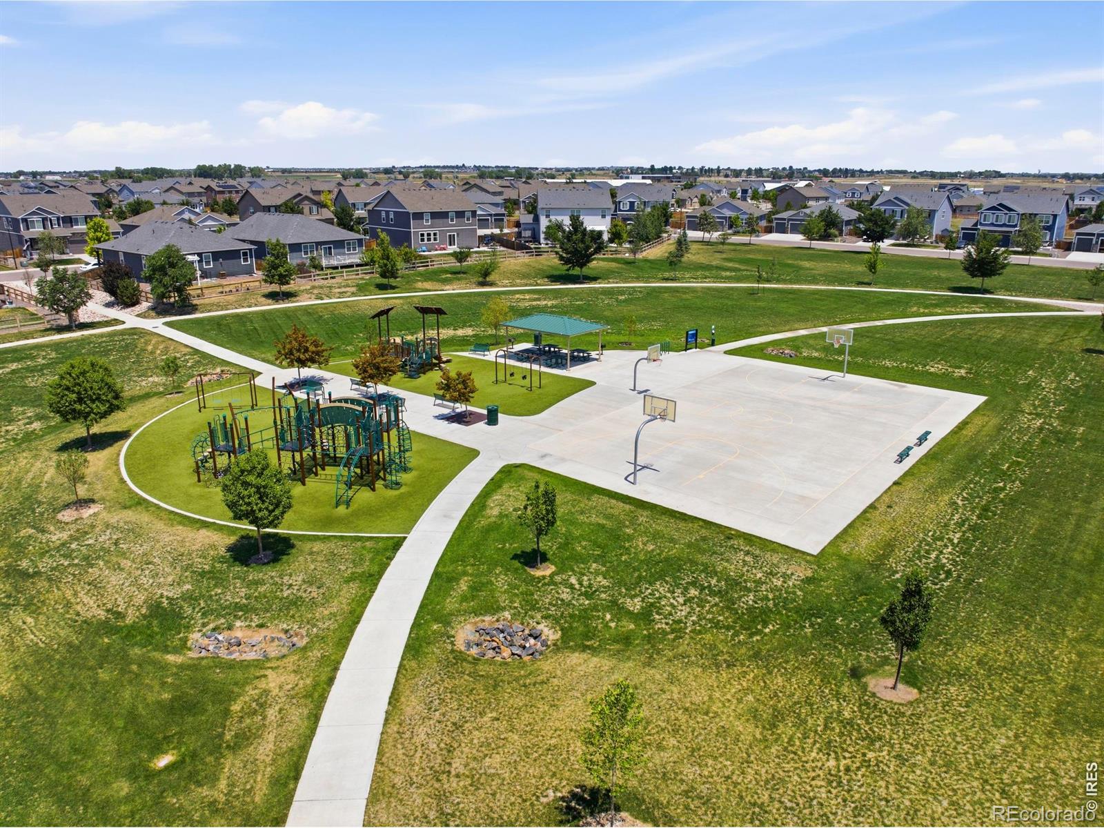 MLS Image #24 for 735  camberly drive,windsor, Colorado