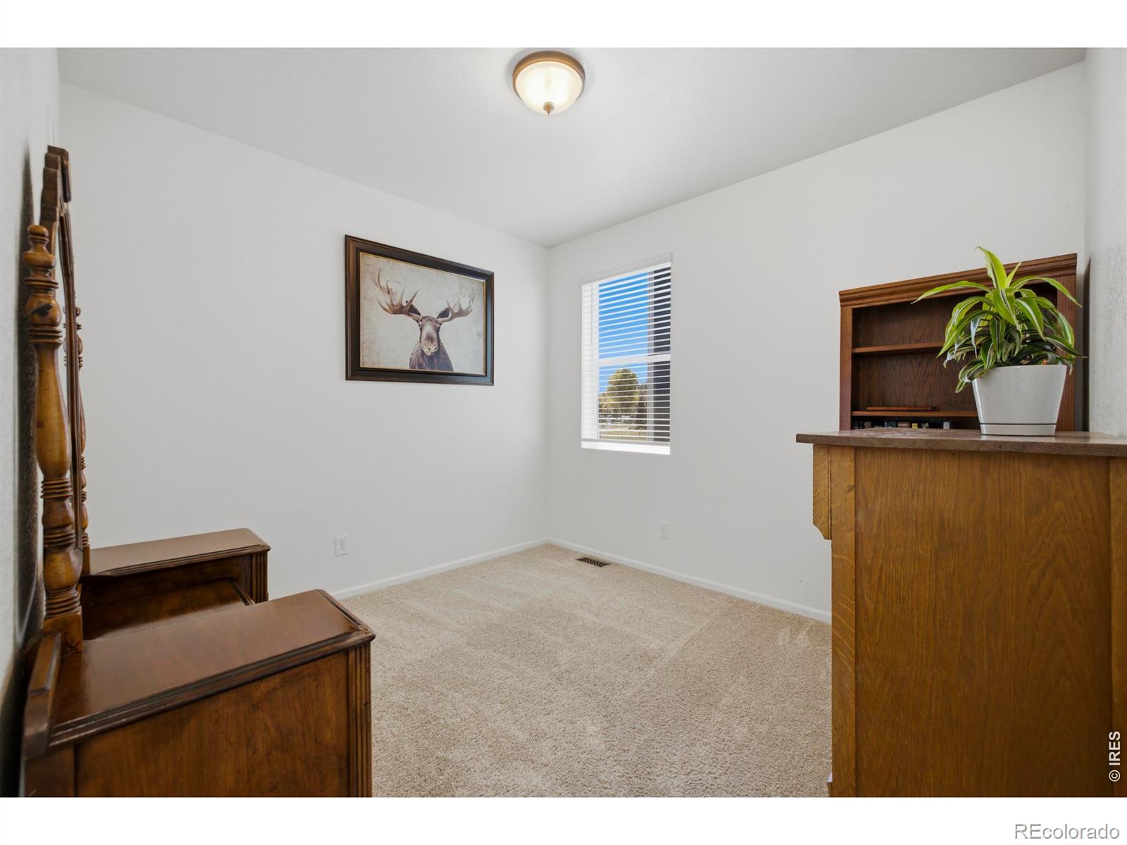 MLS Image #5 for 735  camberly drive,windsor, Colorado