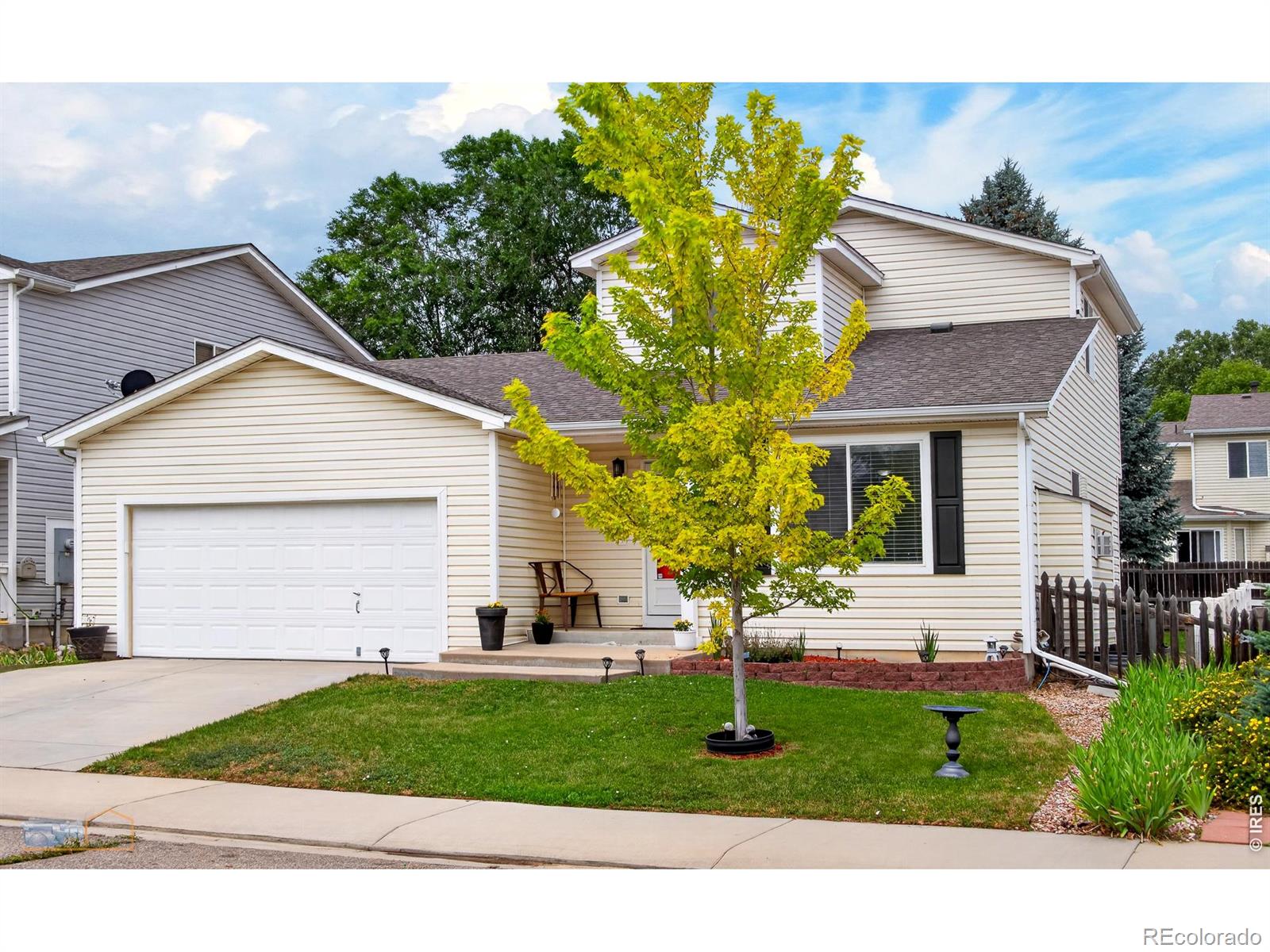MLS Image #2 for 1155  trout creek circle,longmont, Colorado