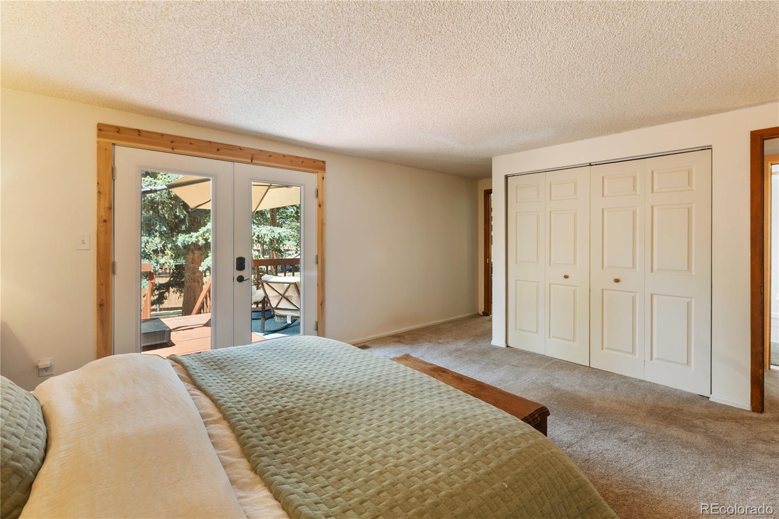 MLS Image #13 for 450 n walnut street,woodland park, Colorado