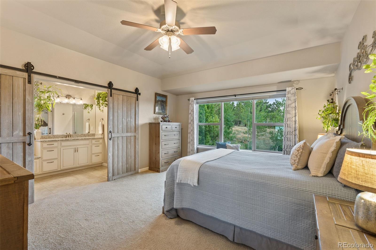 MLS Image #20 for 2835  brogans bluff drive,colorado springs, Colorado