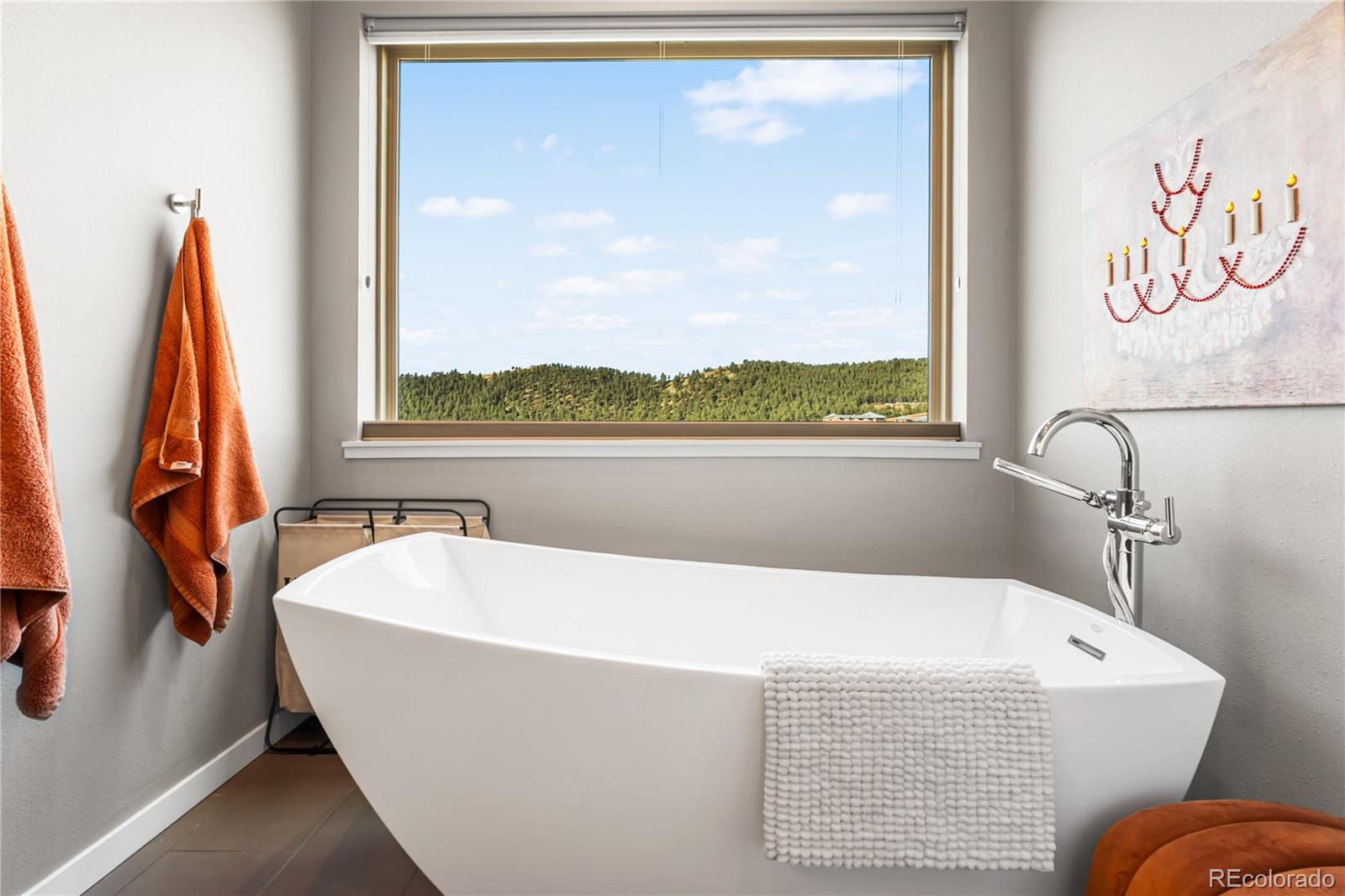 MLS Image #20 for 747  dreamcatcher lane,evergreen, Colorado