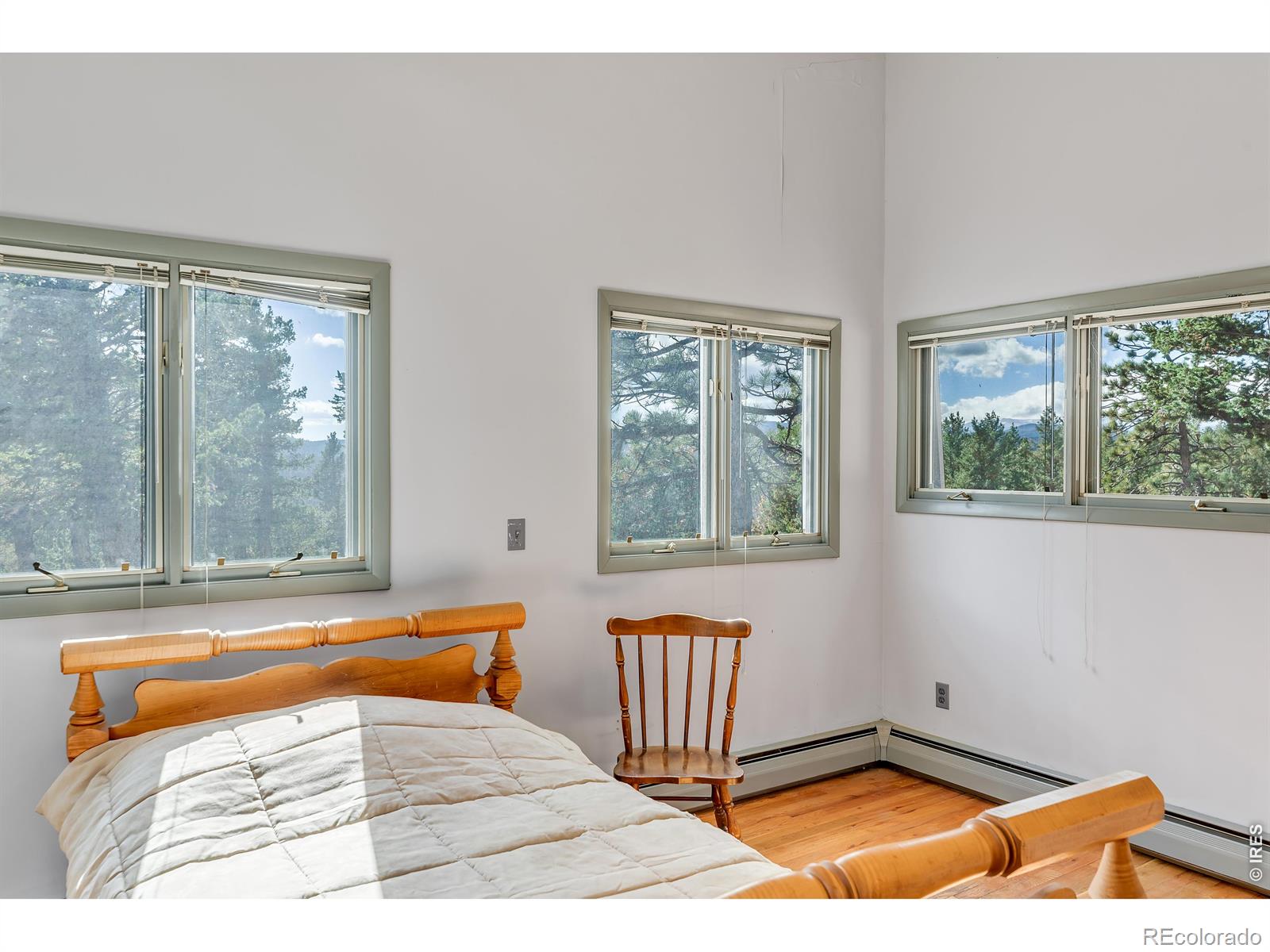 MLS Image #21 for 5566  sugarloaf road,boulder, Colorado