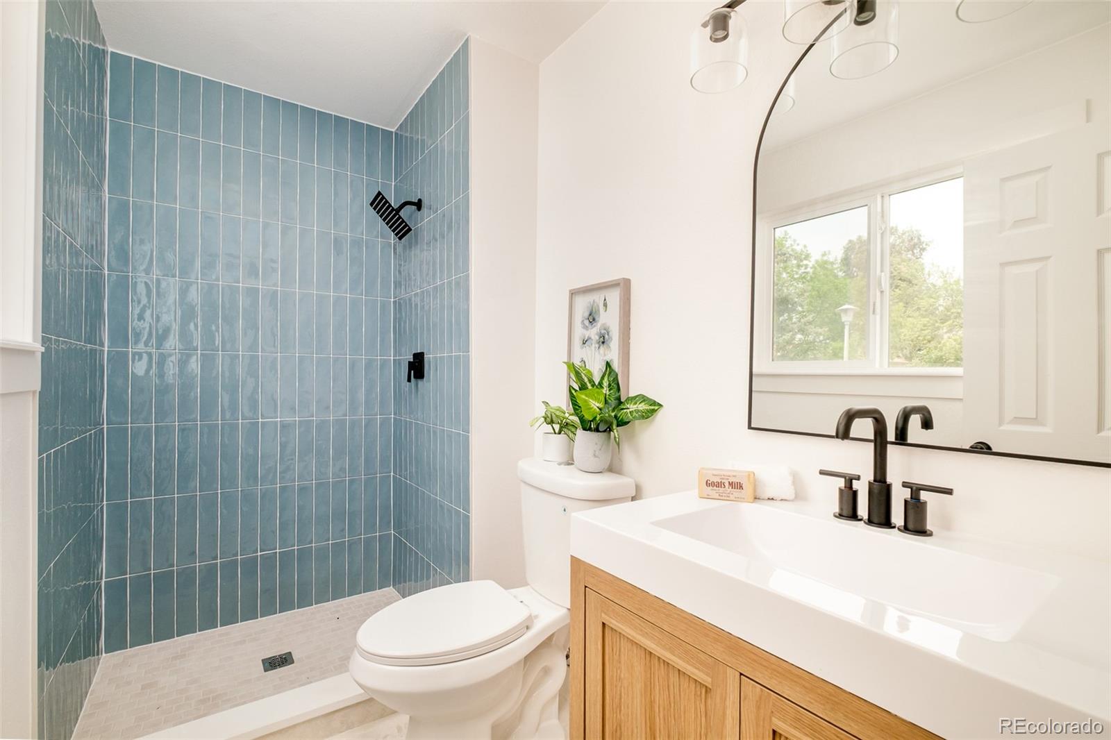 MLS Image #19 for 7333  braun street,arvada, Colorado