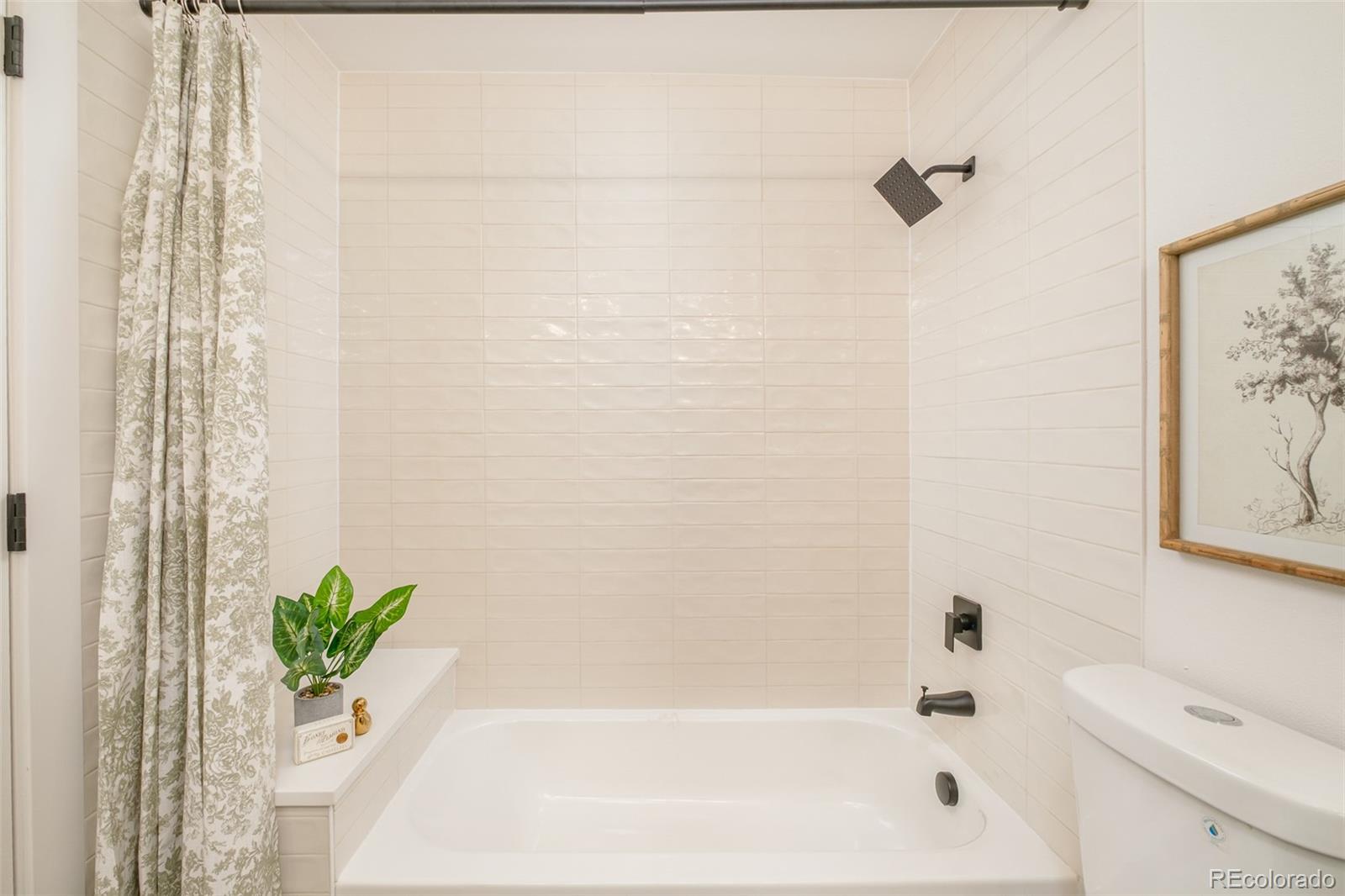 MLS Image #25 for 7333  braun street,arvada, Colorado
