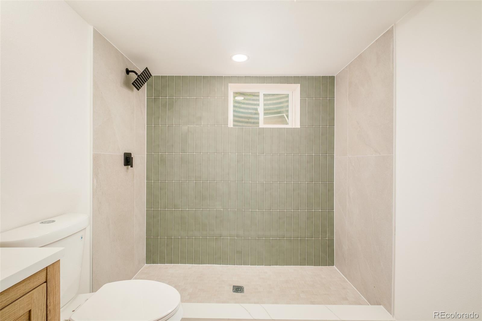 MLS Image #31 for 7333  braun street,arvada, Colorado