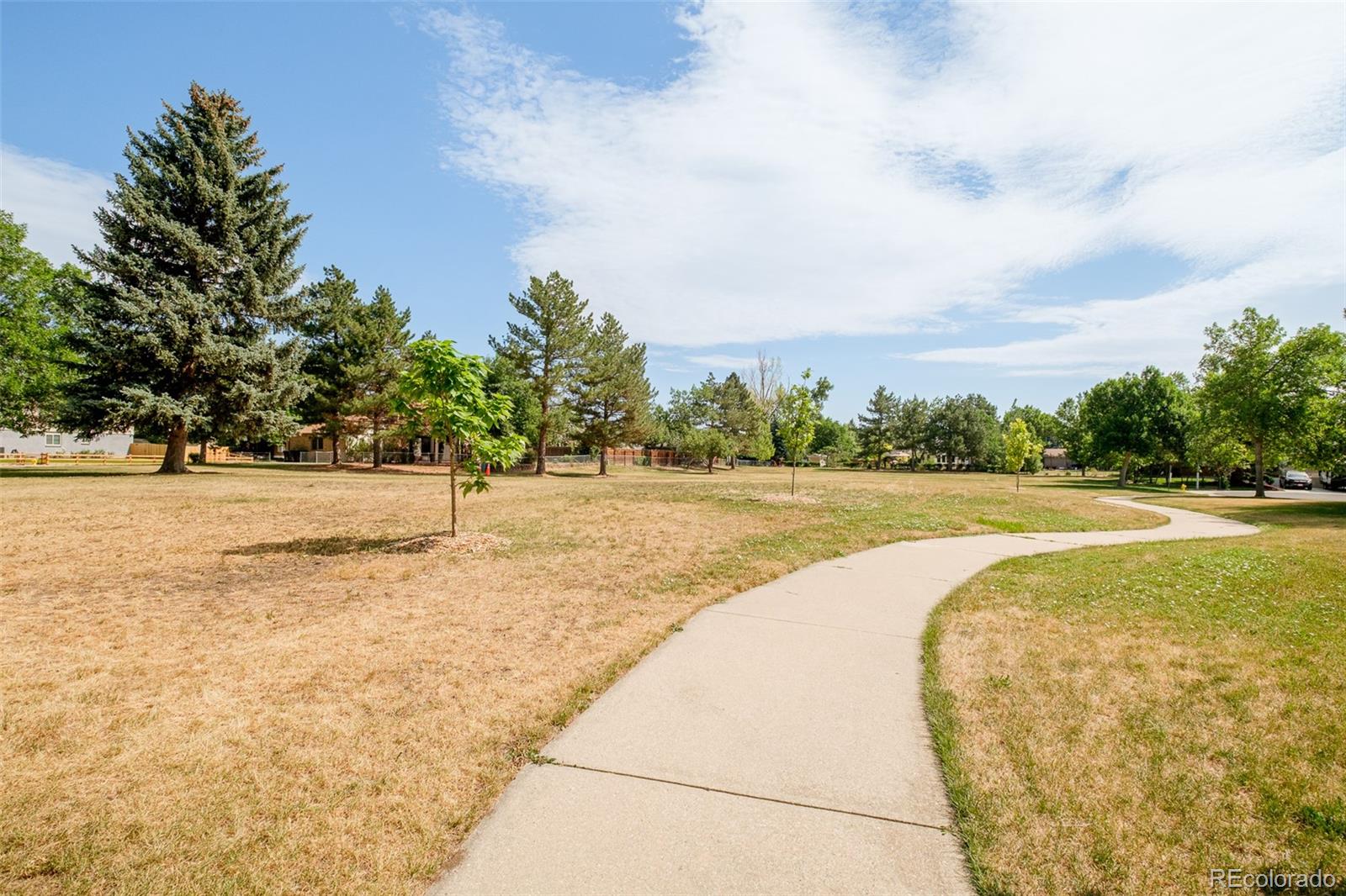 MLS Image #39 for 7333  braun street,arvada, Colorado