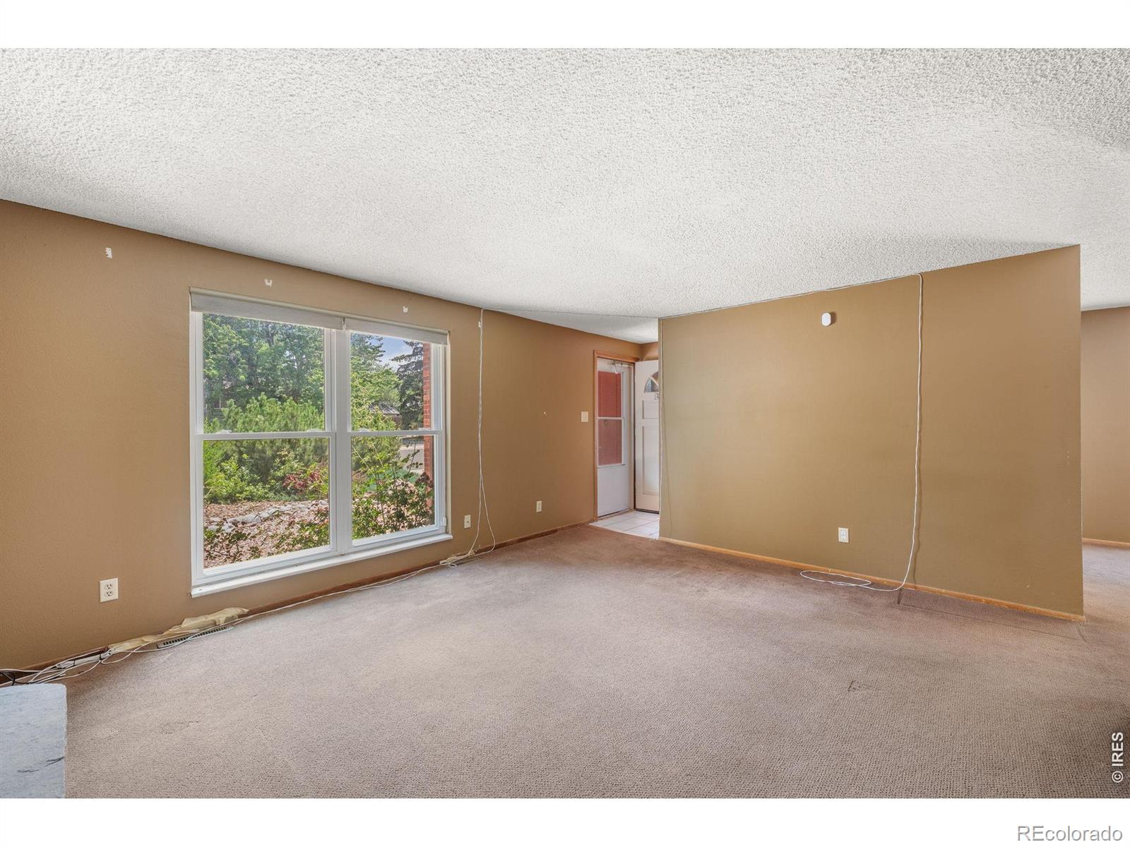 MLS Image #7 for 707  hilltop street,longmont, Colorado