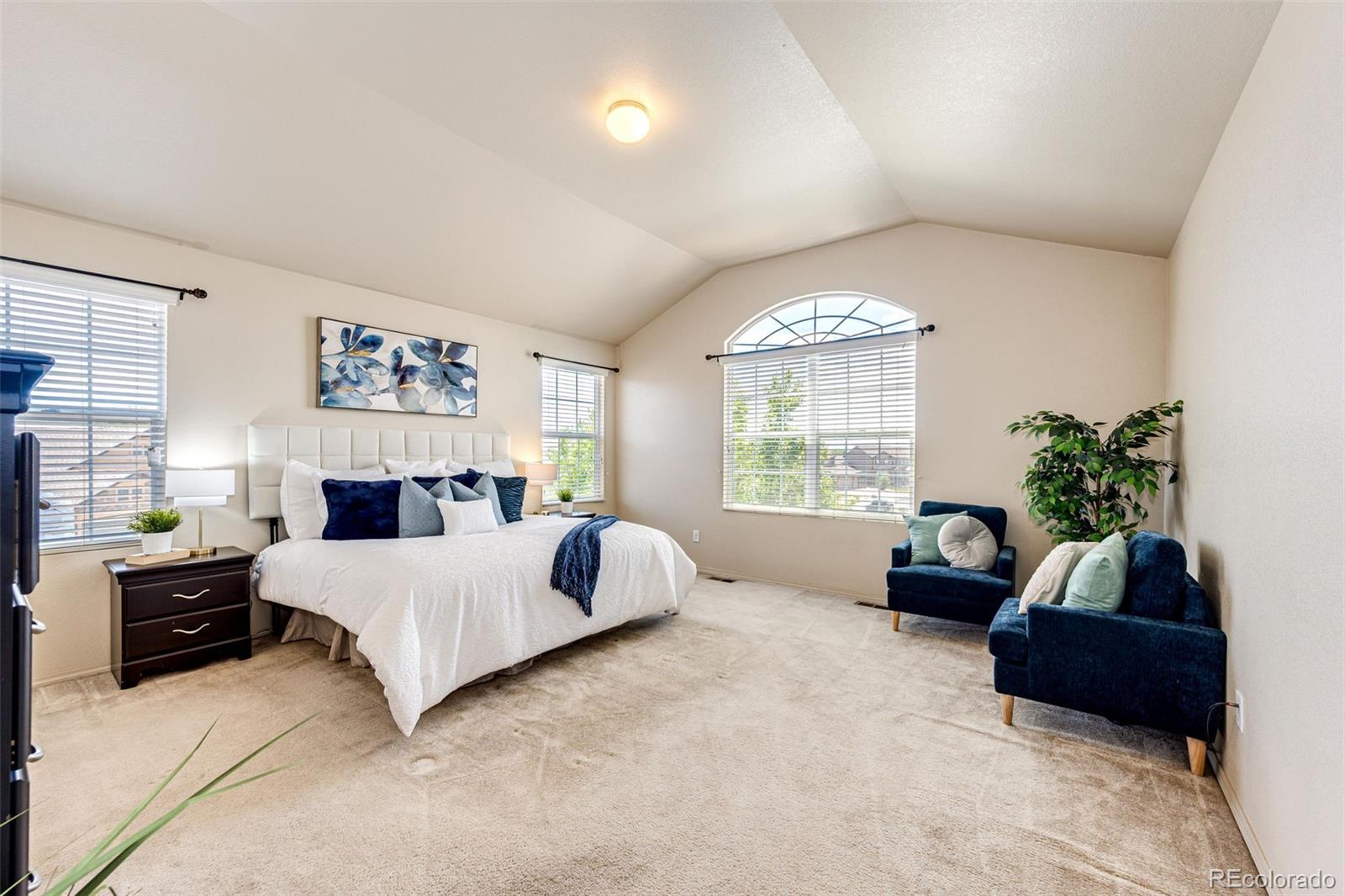 MLS Image #13 for 7664  renegade hill drive,colorado springs, Colorado