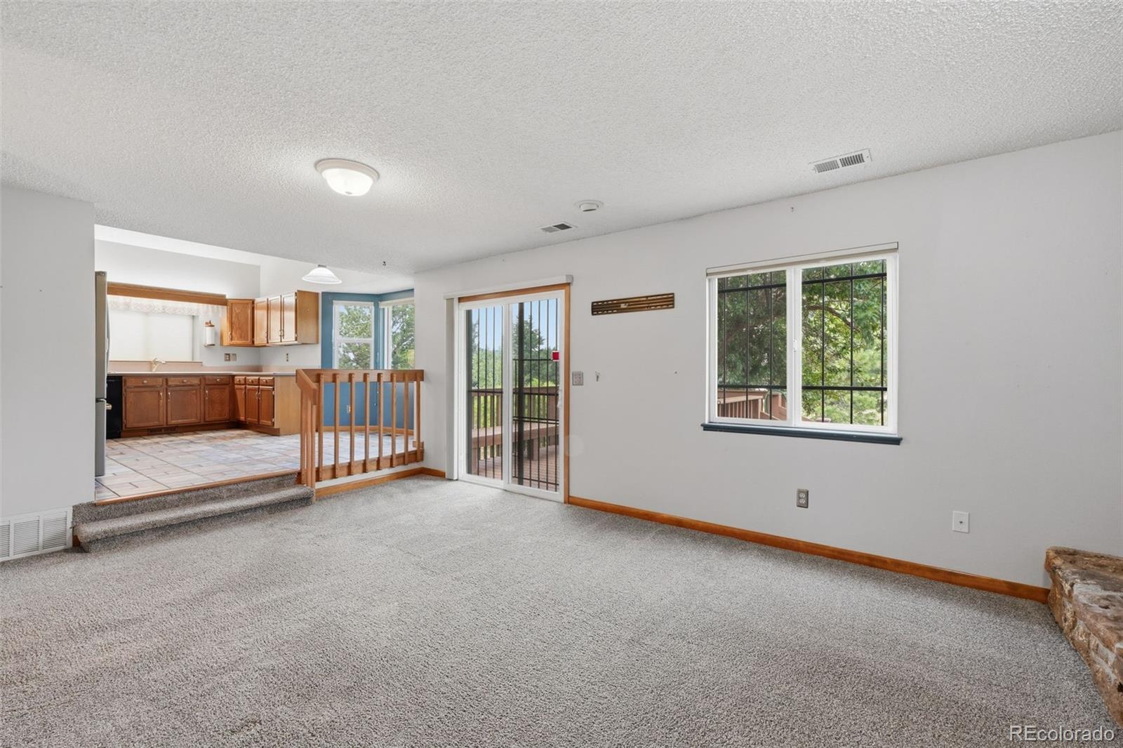 MLS Image #17 for 450  picasso court,colorado springs, Colorado