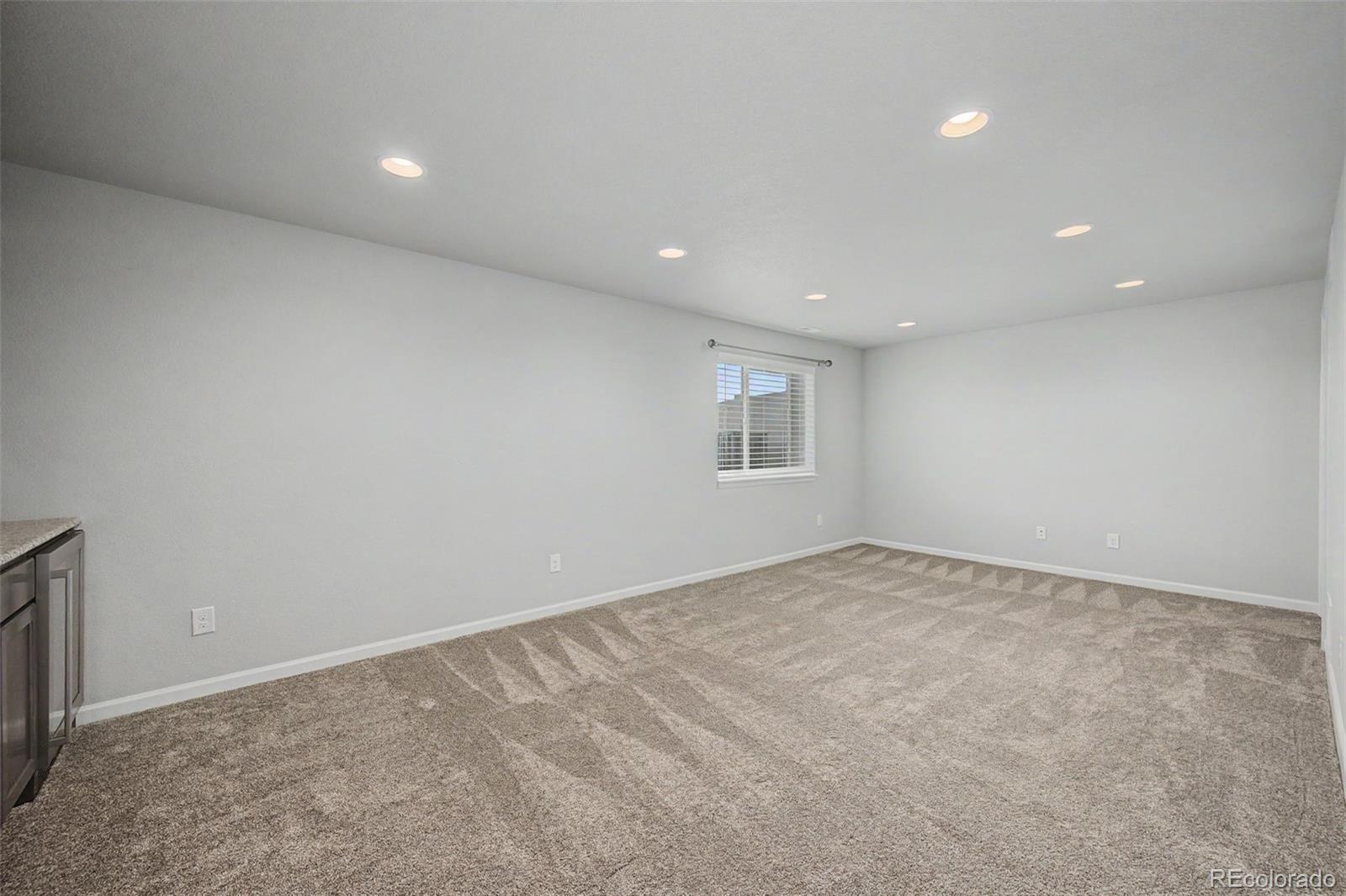 MLS Image #20 for 4443  hessite loop ,colorado springs, Colorado