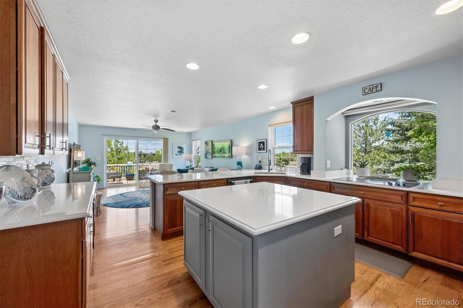 MLS Image #10 for 2529  cactus bloom court,castle rock, Colorado