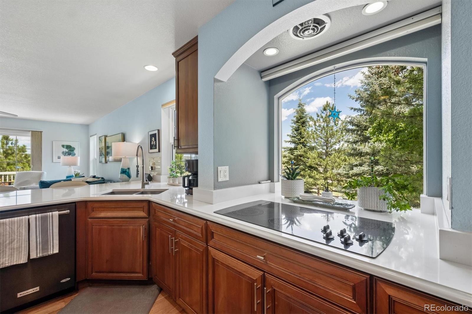 MLS Image #11 for 2529  cactus bloom court,castle rock, Colorado
