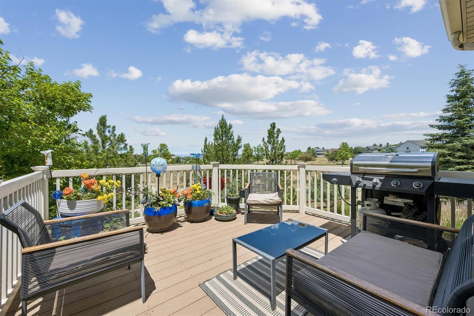 MLS Image #14 for 2529  cactus bloom court,castle rock, Colorado